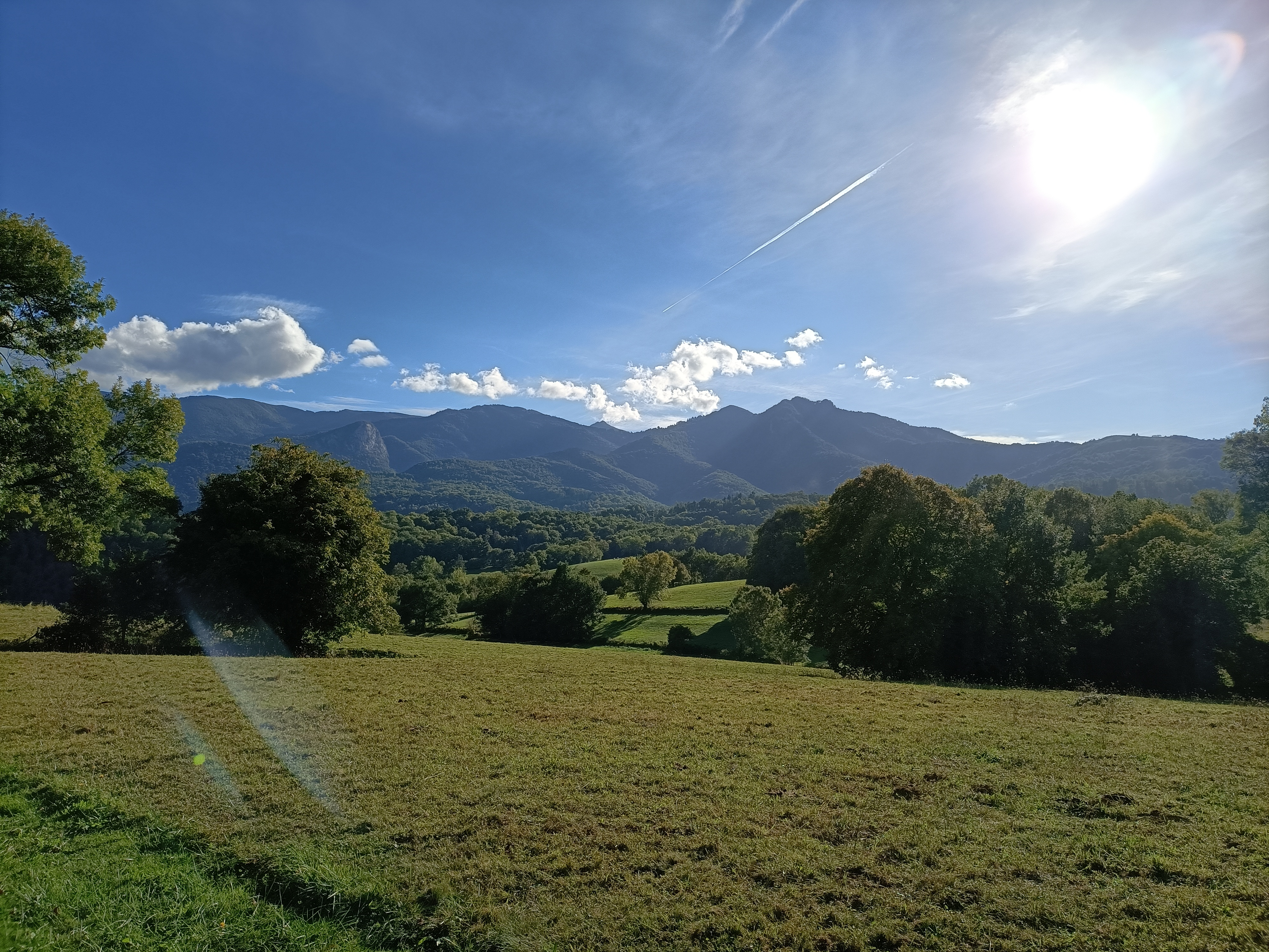 LA SALAMANDRE DE L'ESCAT, Montastruc-de-Salies - photo 2