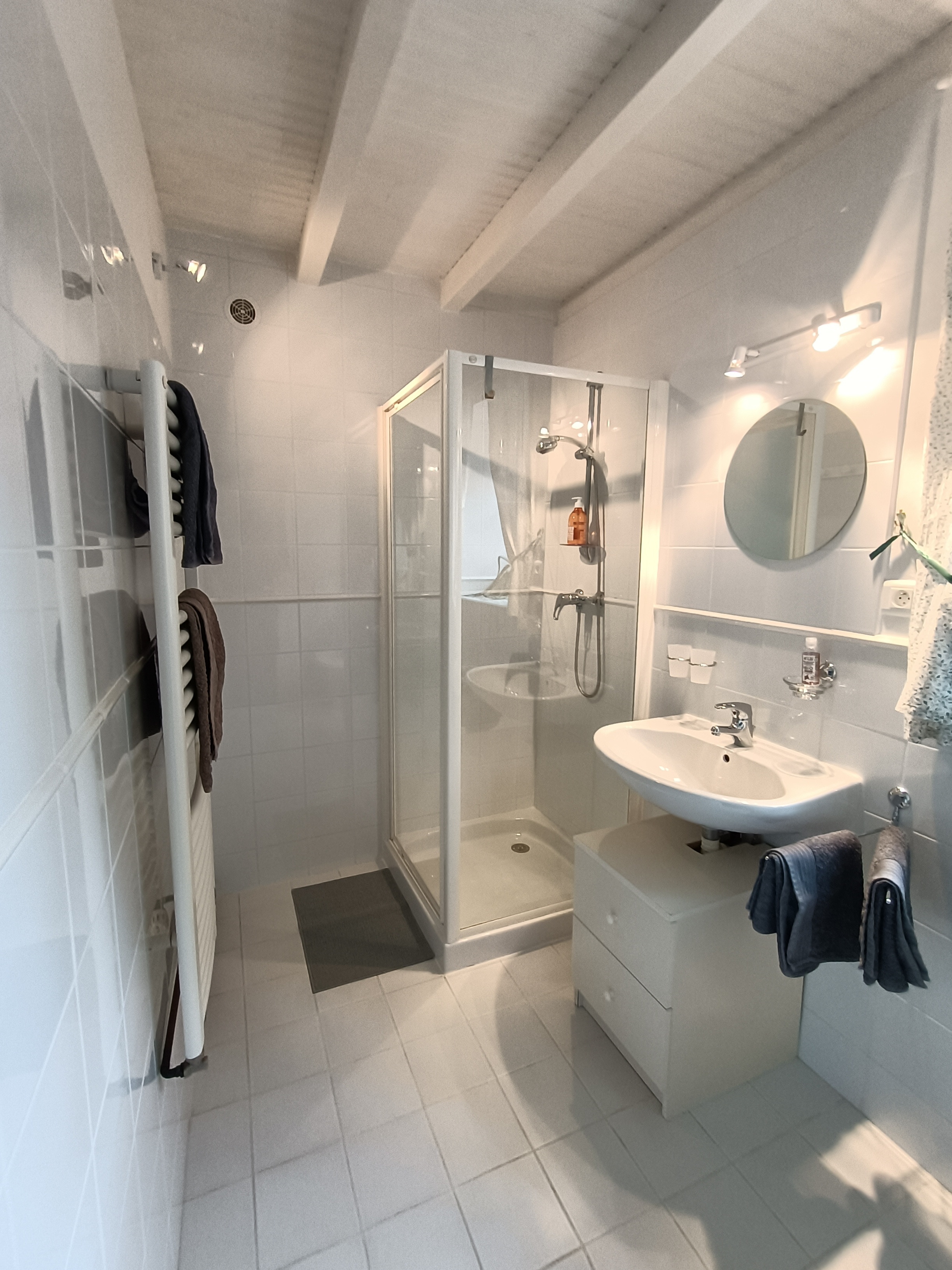 LA SALAMANDRE DE L'ESCAT, Montastruc-de-Salies - photo 4