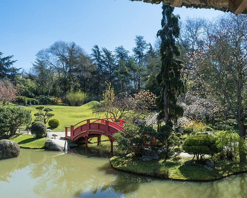 Jardin Japonais (Rendez-vous aux jardins) - © Rémi Deligeon