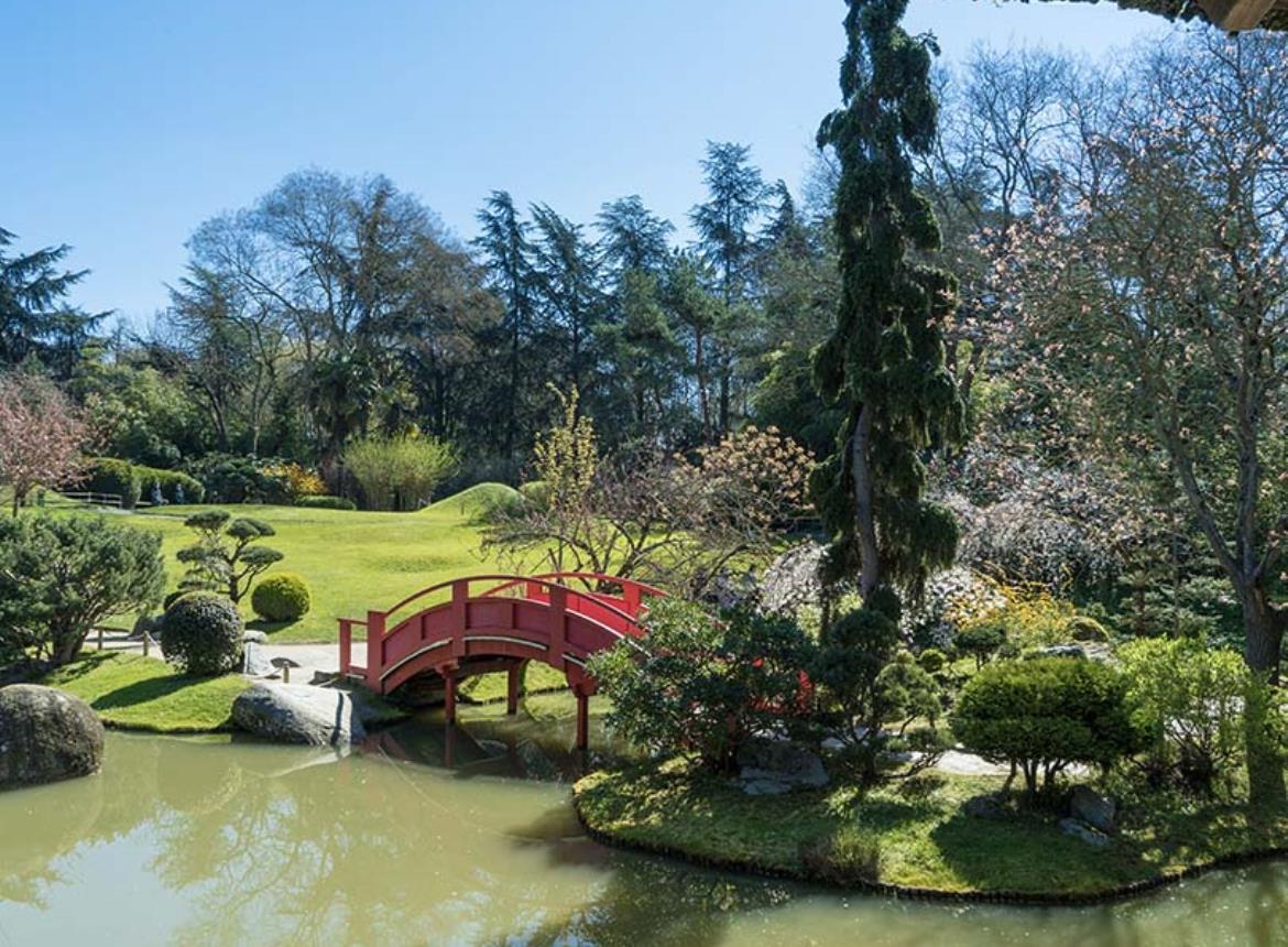 Jardin Japonais (Rendez-vous aux jardins)