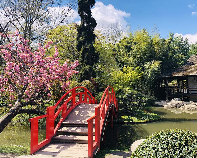 Jardin Japonais (Rendez-vous aux jardins) - © @na_toulouse