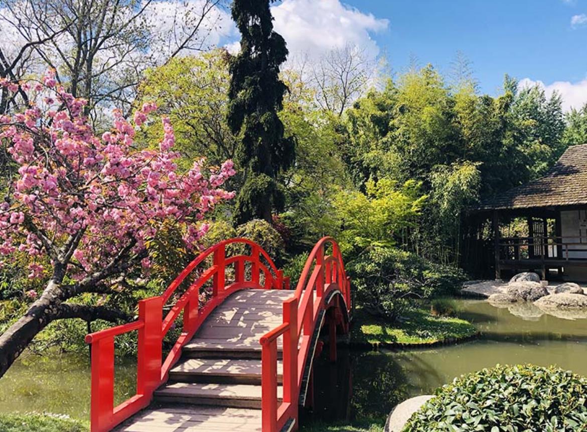 Jardin Japonais (Rendez-vous aux jardins)