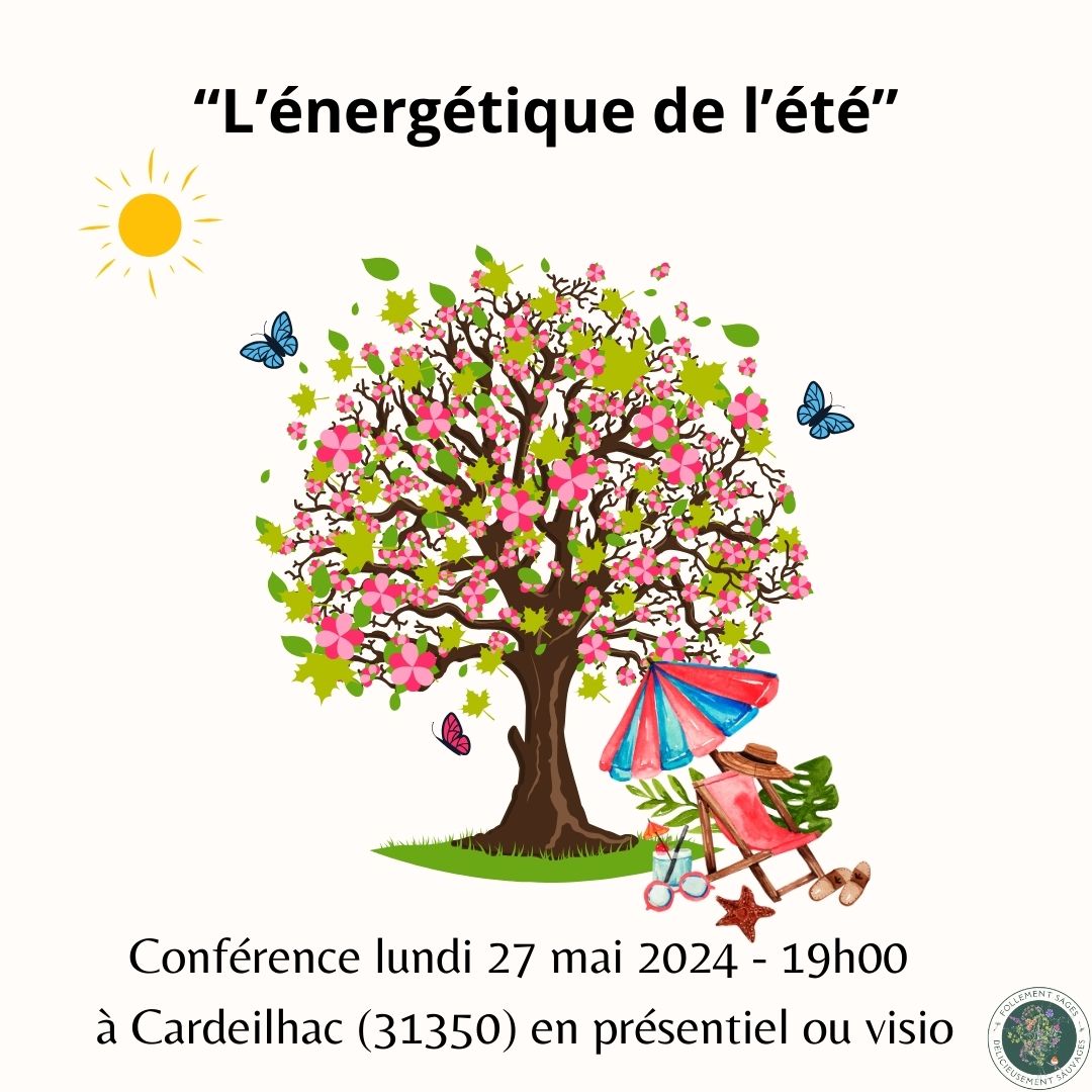 CONFERENCE : L'ENERGETIQUE DE L'ETE (1/1)