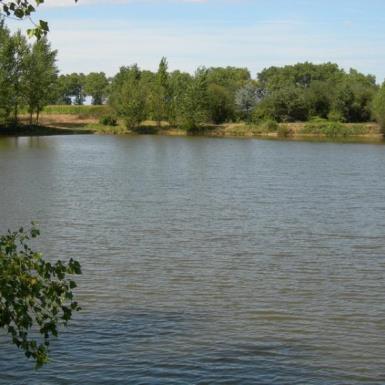 LAC-ALBERGO-BUZET SUR TARN