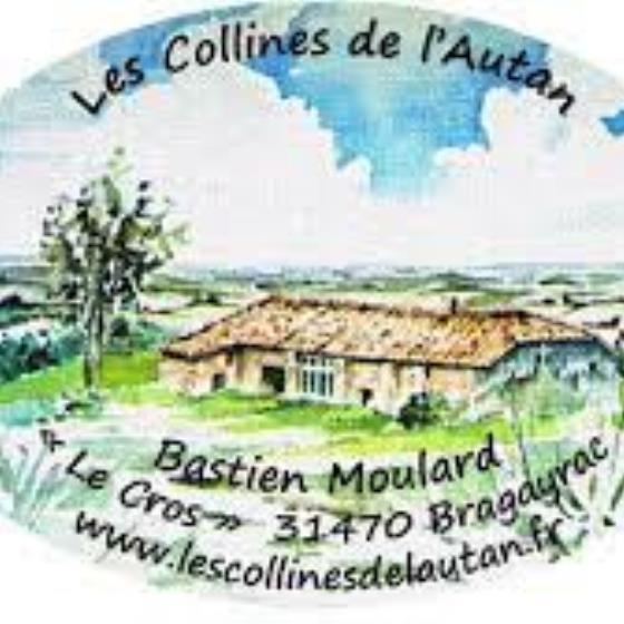 LOGO-1920w