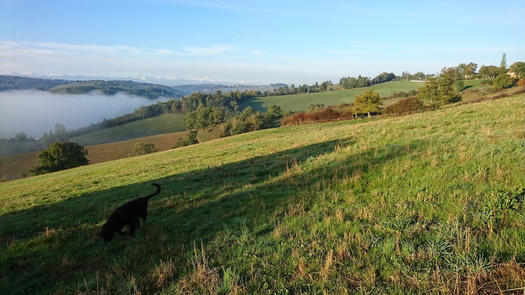 LE PARADIS-CHAMBRE D'HÔTES, Saint-Frajou - photo 4