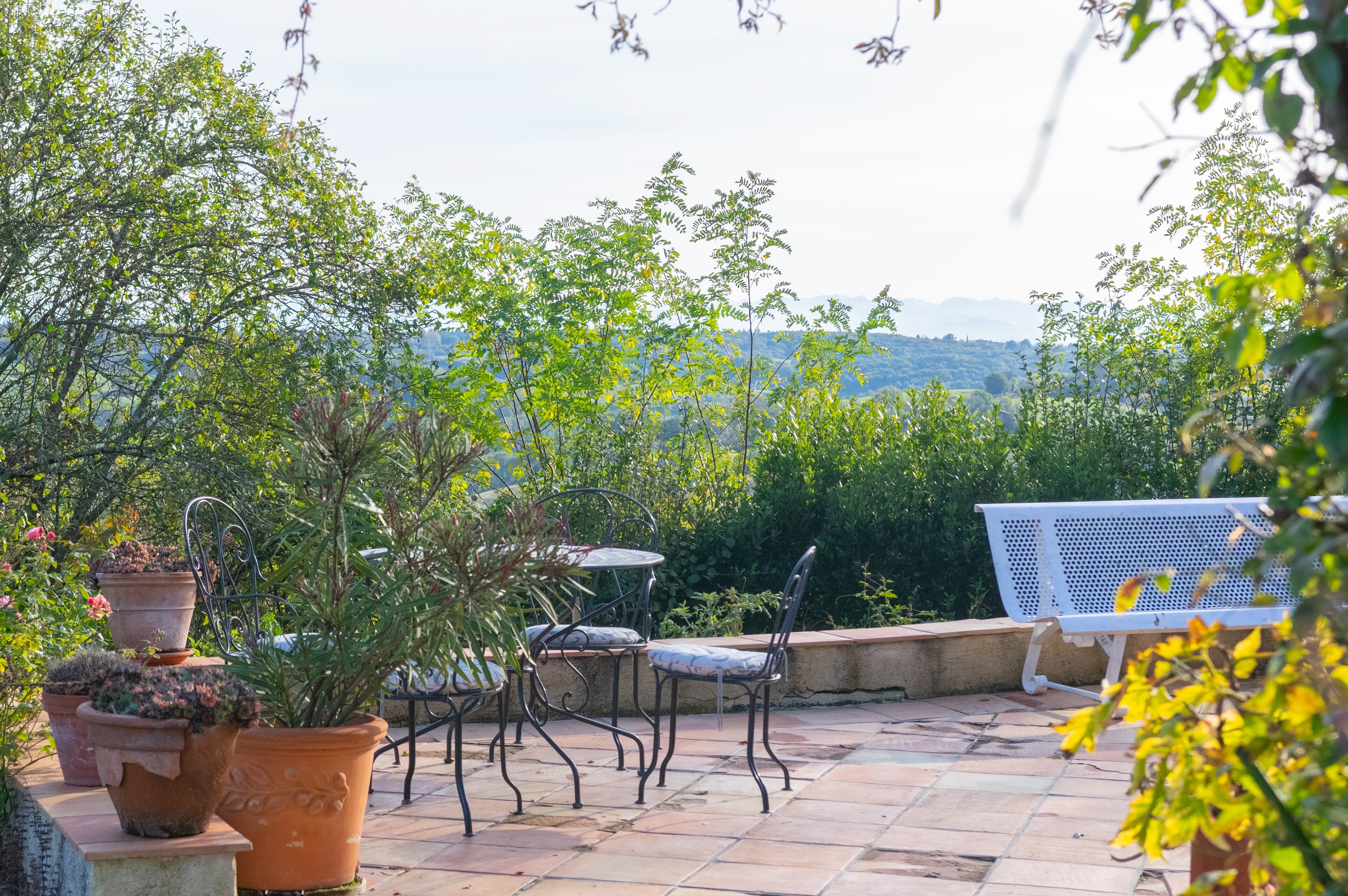 LE PARADIS, Saint-Frajou - photo 11