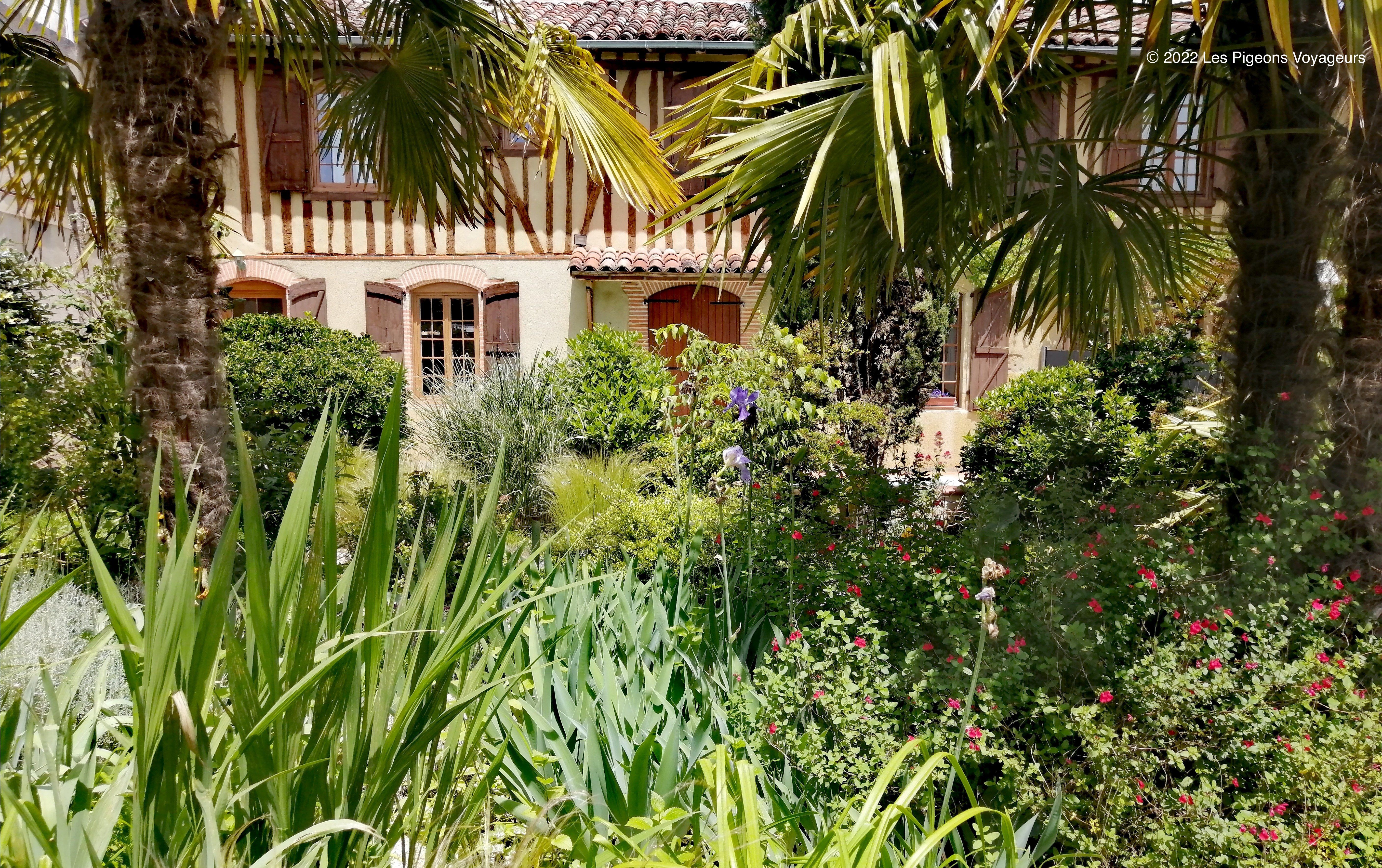 LES PIGEONS VOYAGEURS, L'Isle-en-Dodon - photo 4