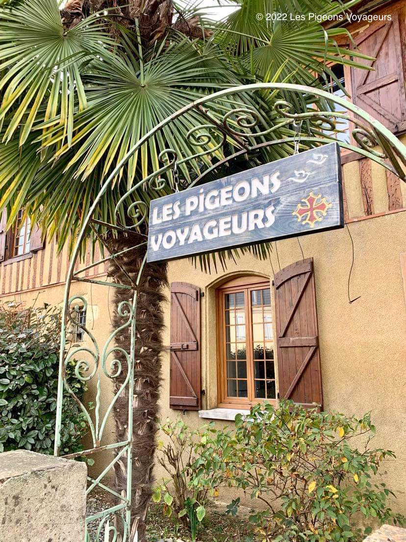 LES PIGEONS VOYAGEURS