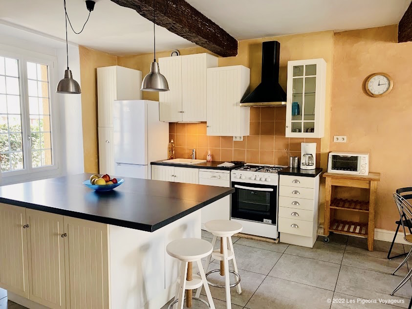 LES PIGEONS VOYAGEURS, L'Isle-en-Dodon - photo 9