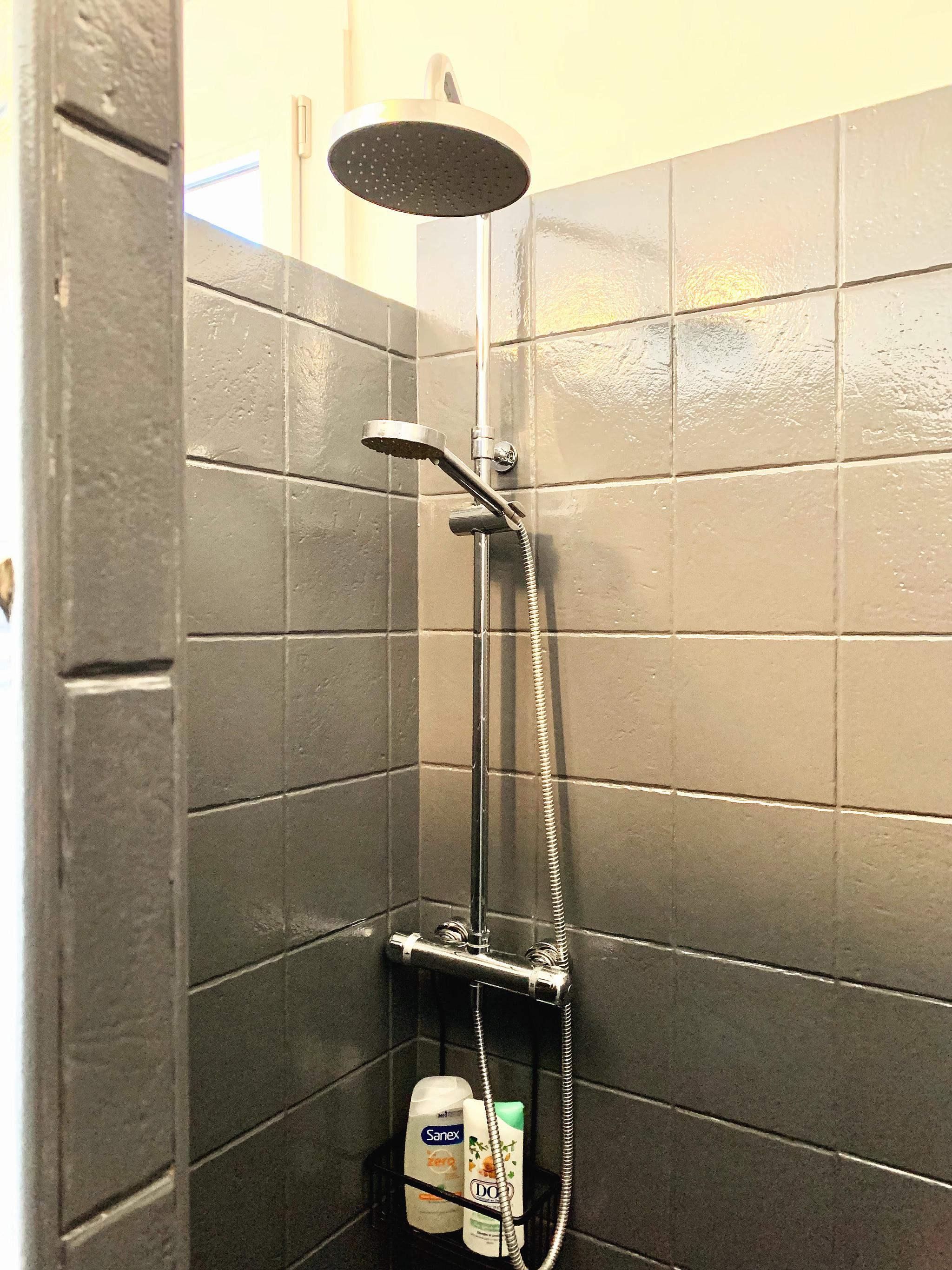 LES PIGEONS VOYAGEURS, L'Isle-en-Dodon - photo 11