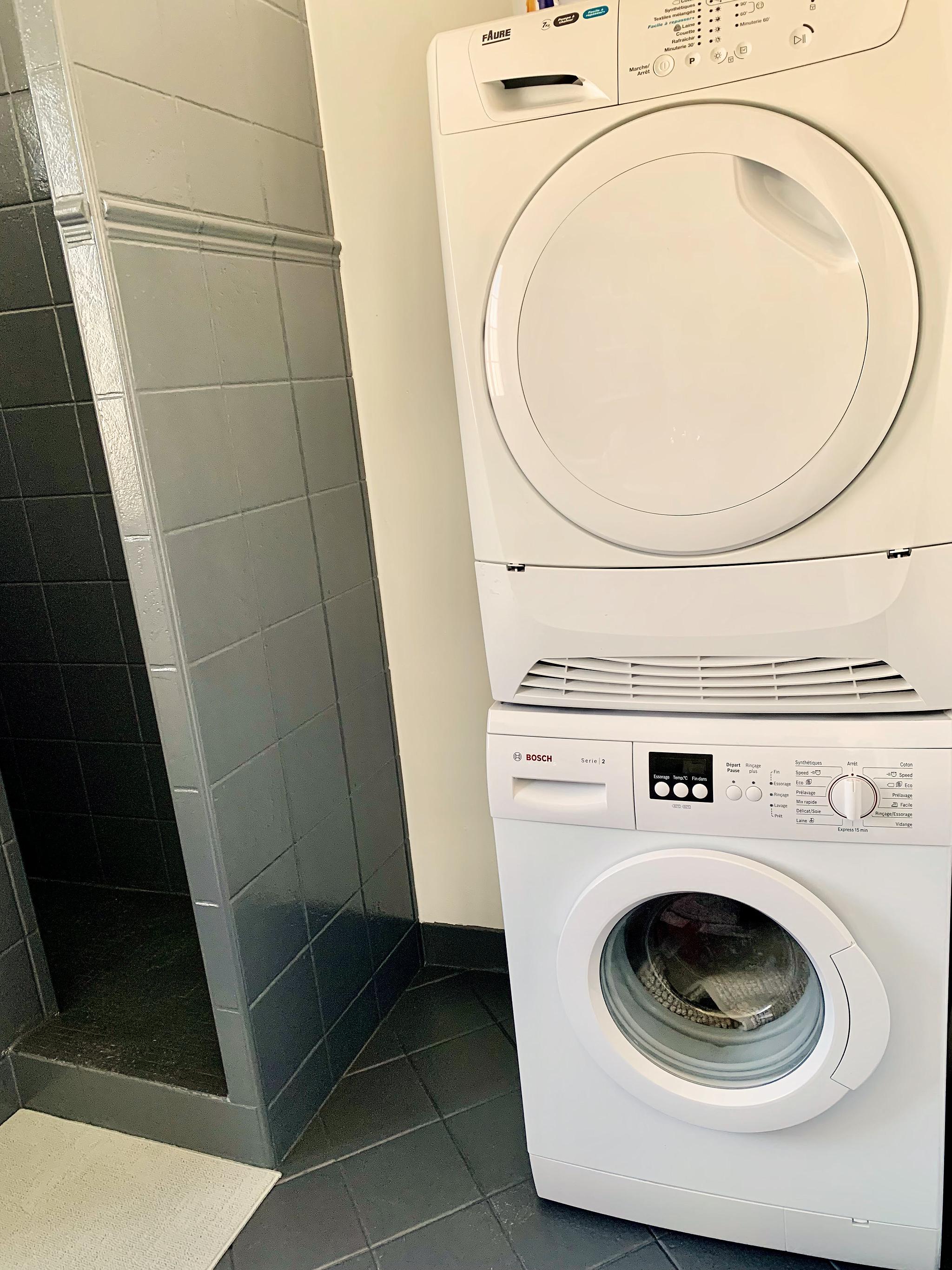 LES PIGEONS VOYAGEURS, L'Isle-en-Dodon - photo 6