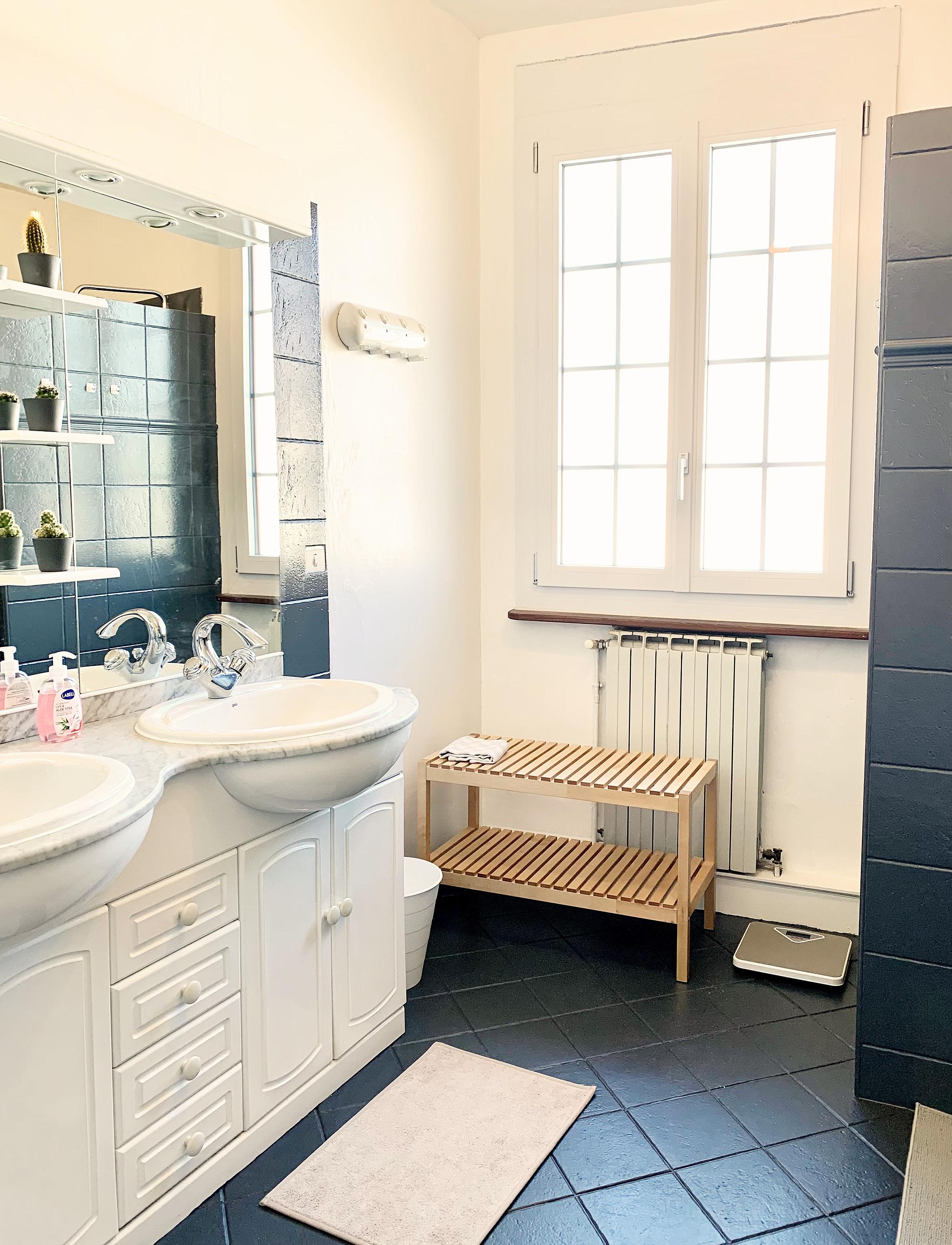 LES PIGEONS VOYAGEURS, L'Isle-en-Dodon - photo 8