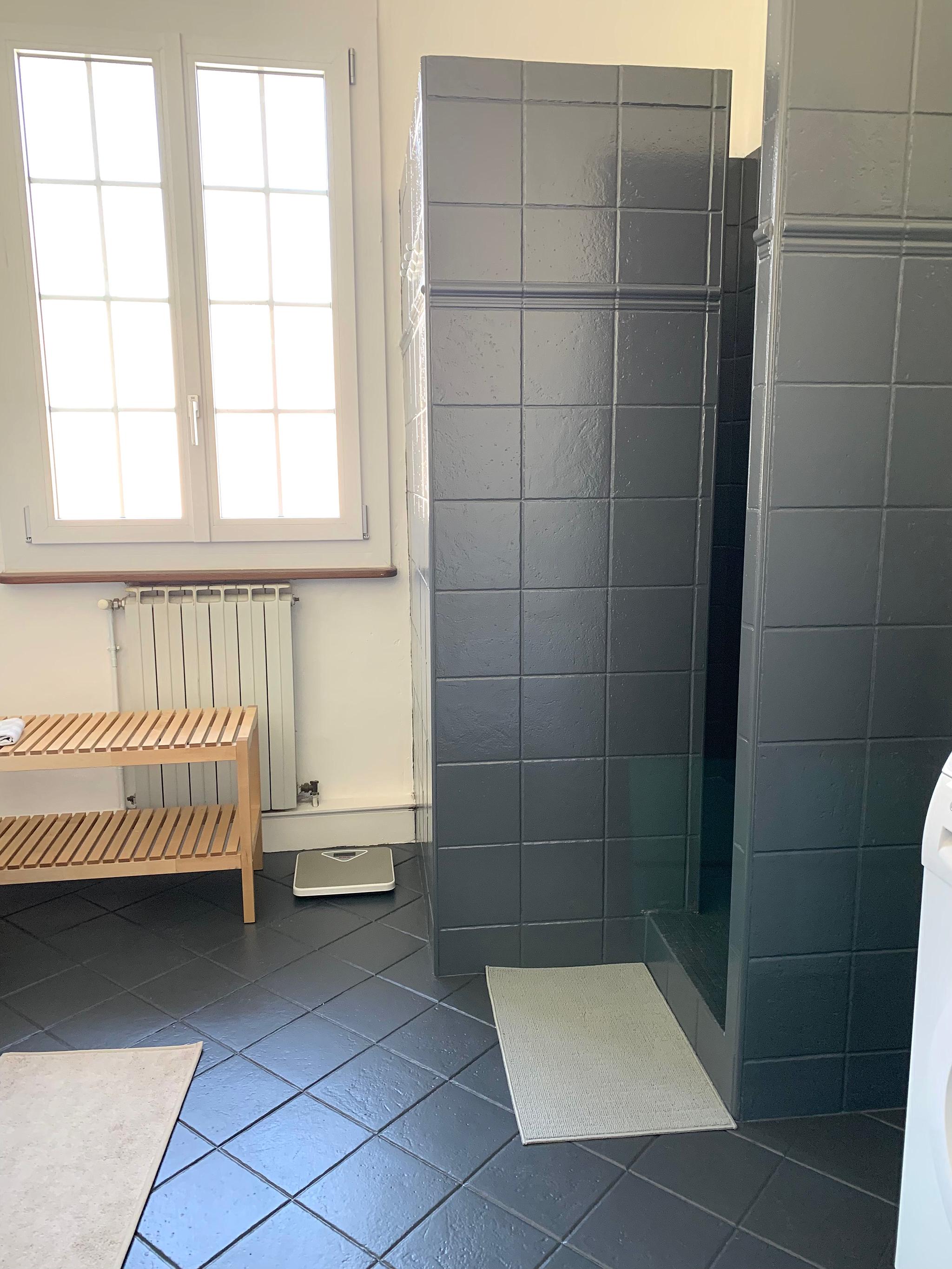 LES PIGEONS VOYAGEURS, L'Isle-en-Dodon - photo 3