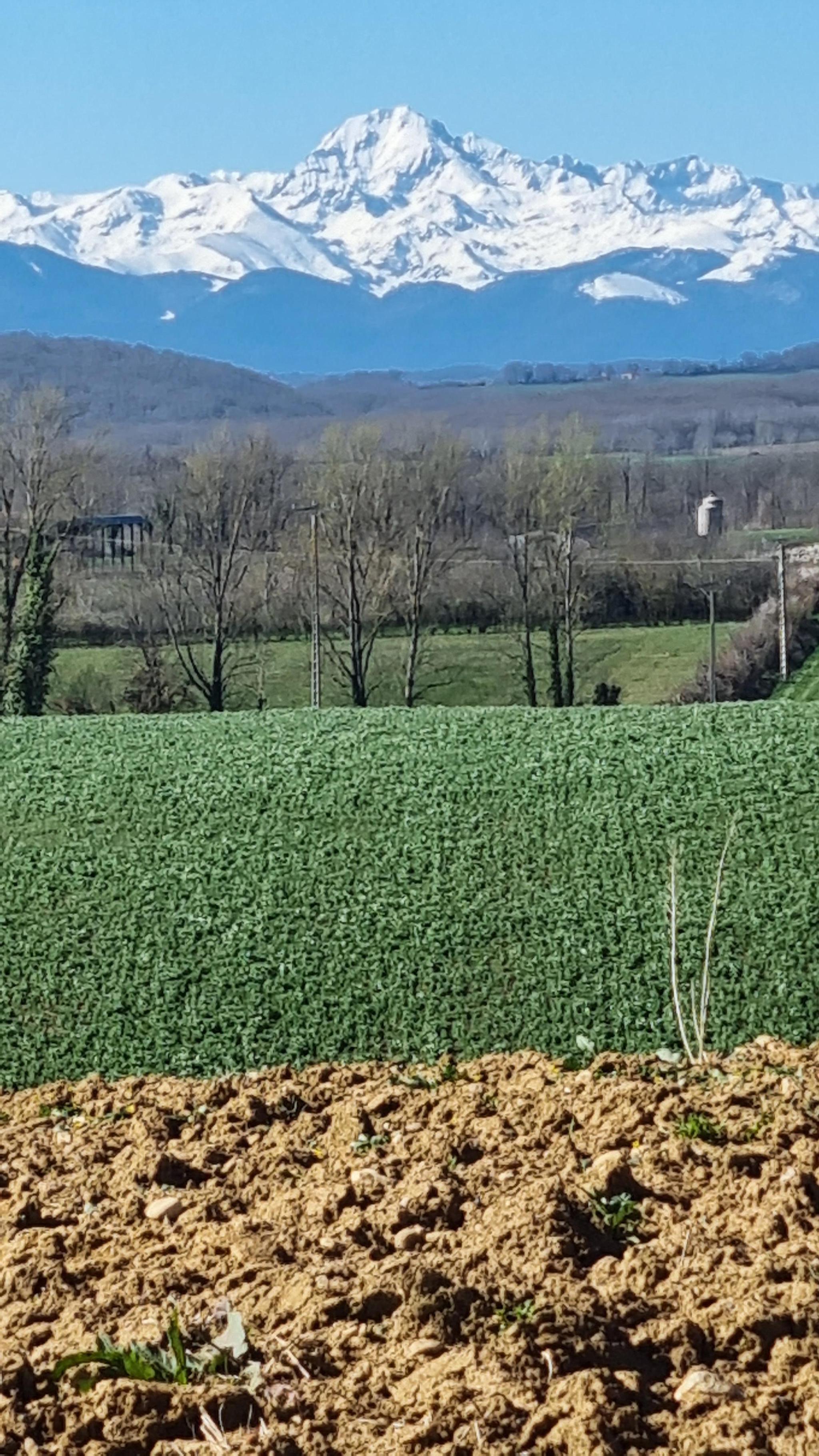 LOBERSANE LA MAISON DU MEUNIER, Saint-Laurent - photo 5
