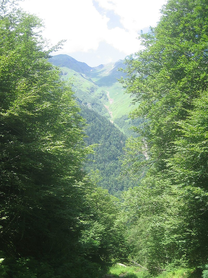l'Université Toulouse III 