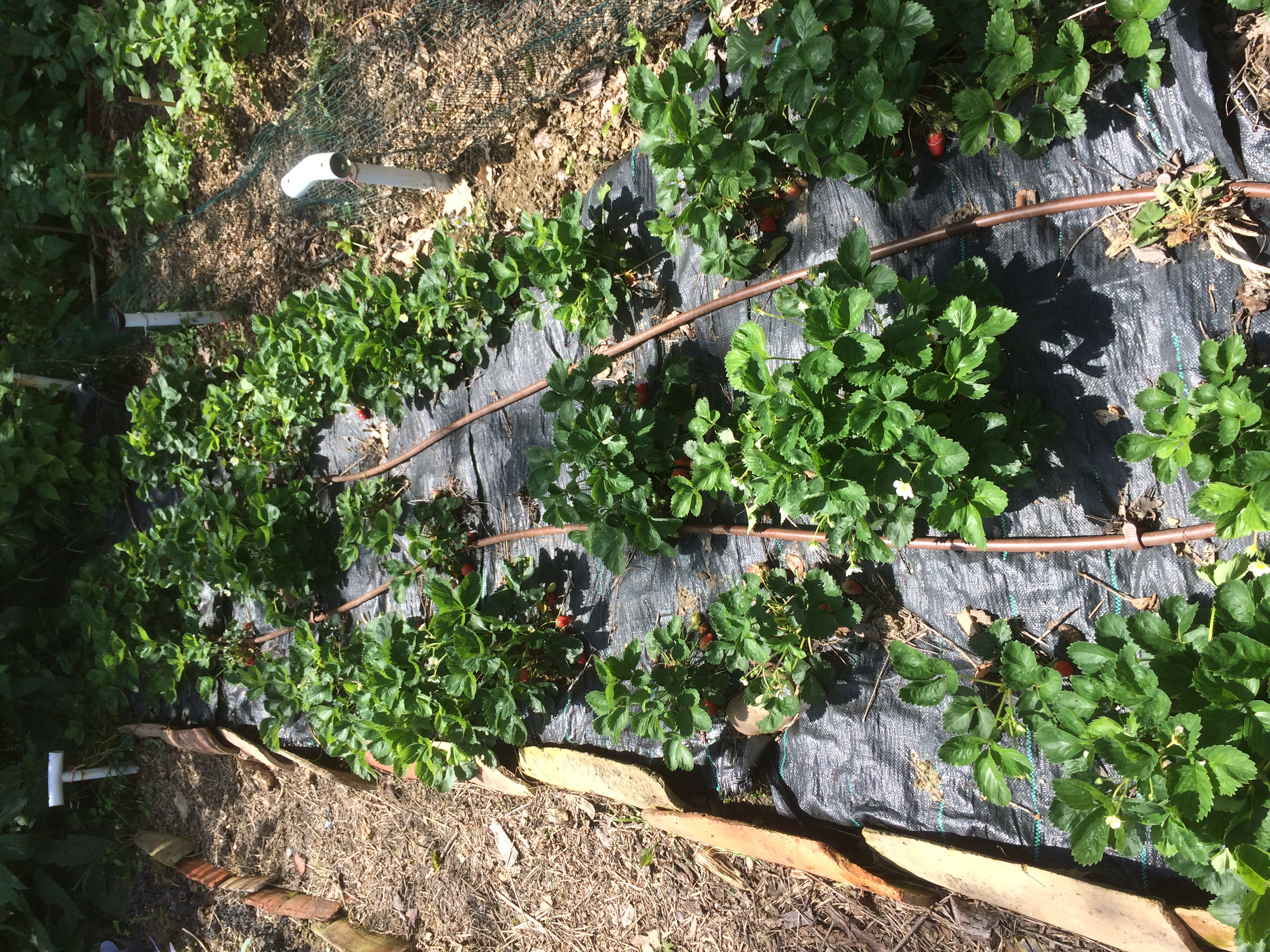 LA GRANDE MAISON - photo 4