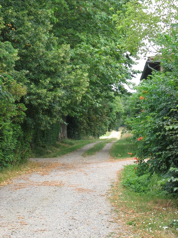 BOUCLE DE MONTAIGUT, MONTAIGUT-SUR-SAVE