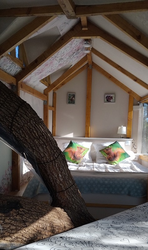 LA CABANE INSOLITE, Monès - photo 12