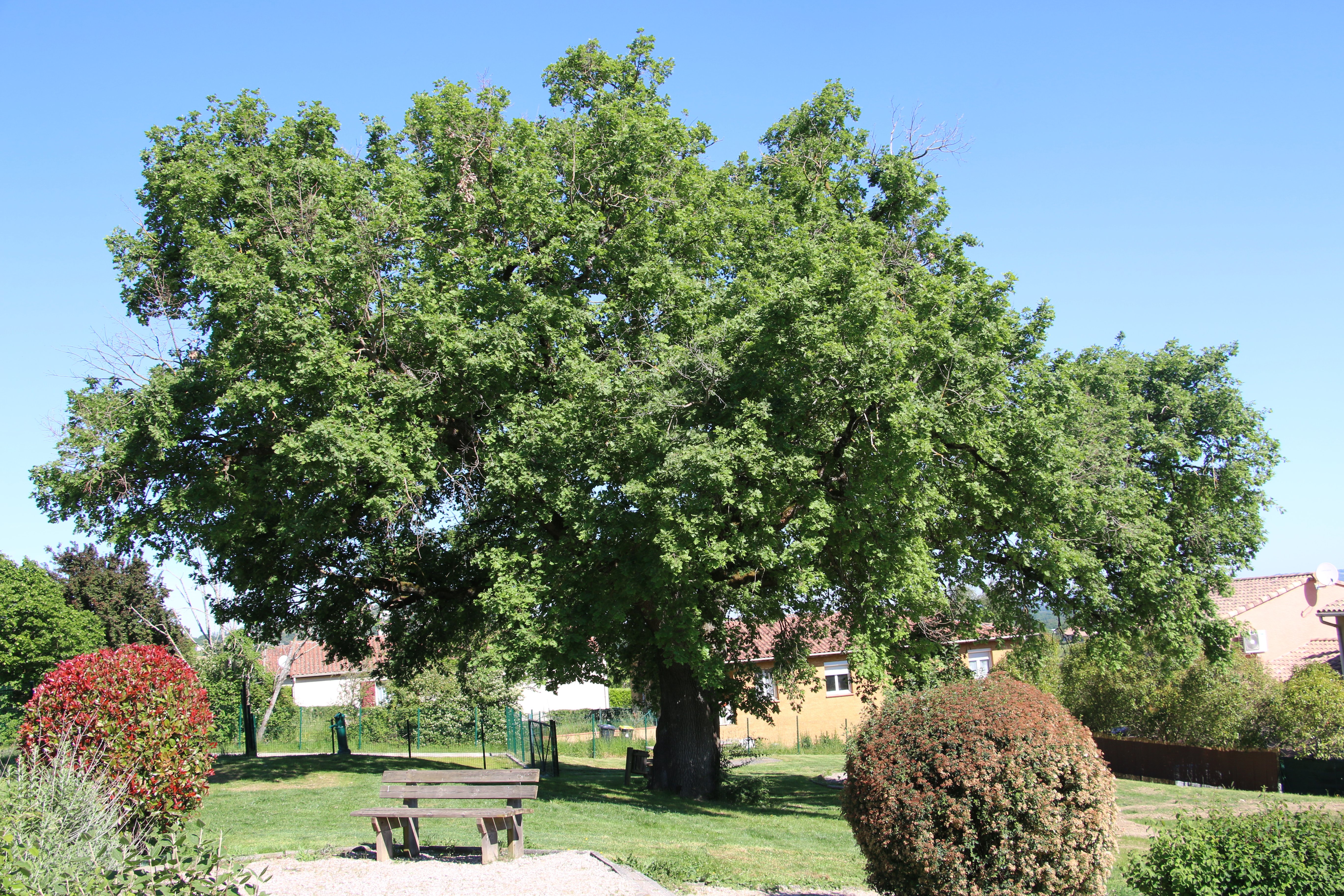 Tourisme Coteaux du Girou 