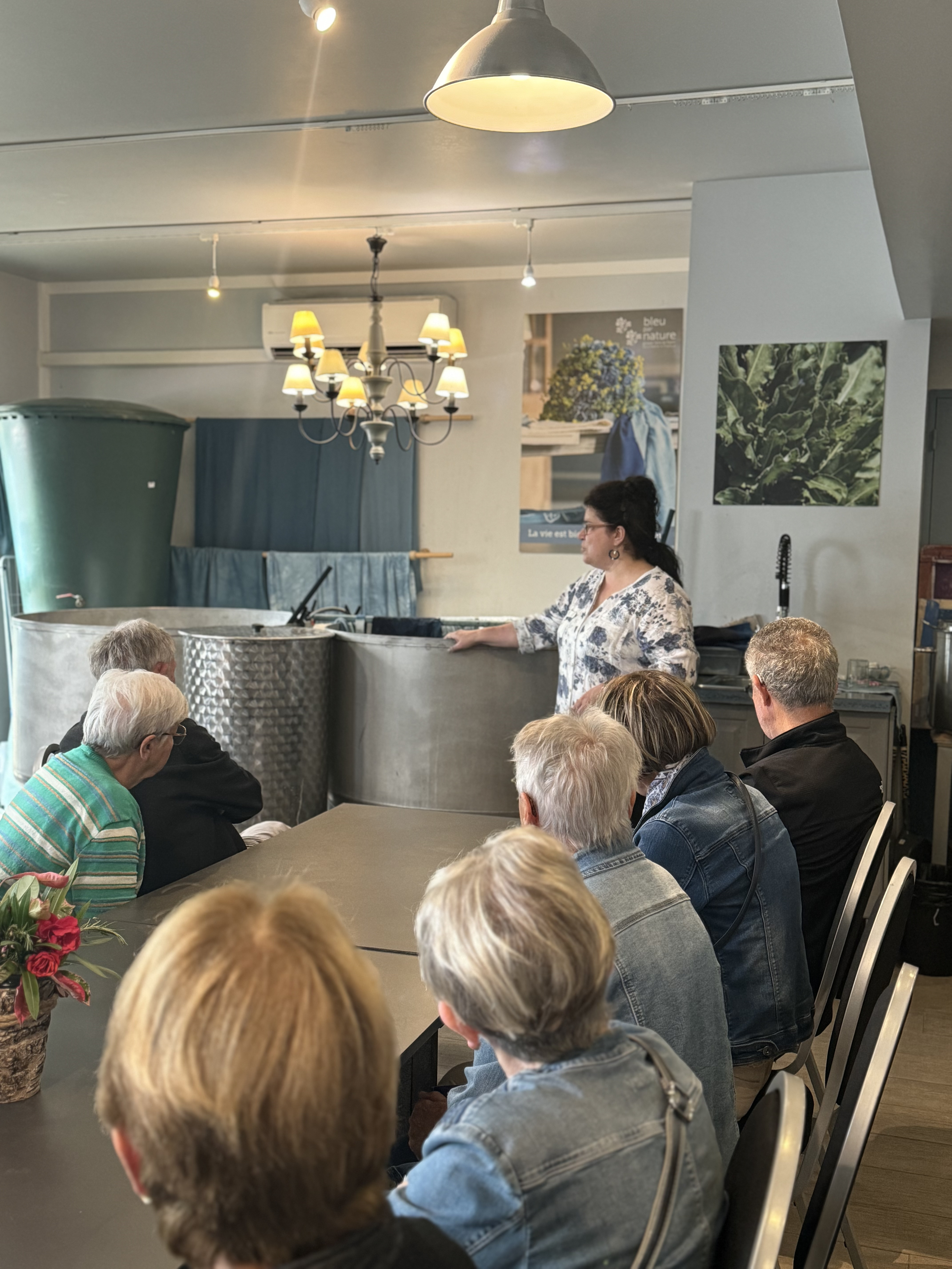 ©Muséum du Pastel à Labège (31)