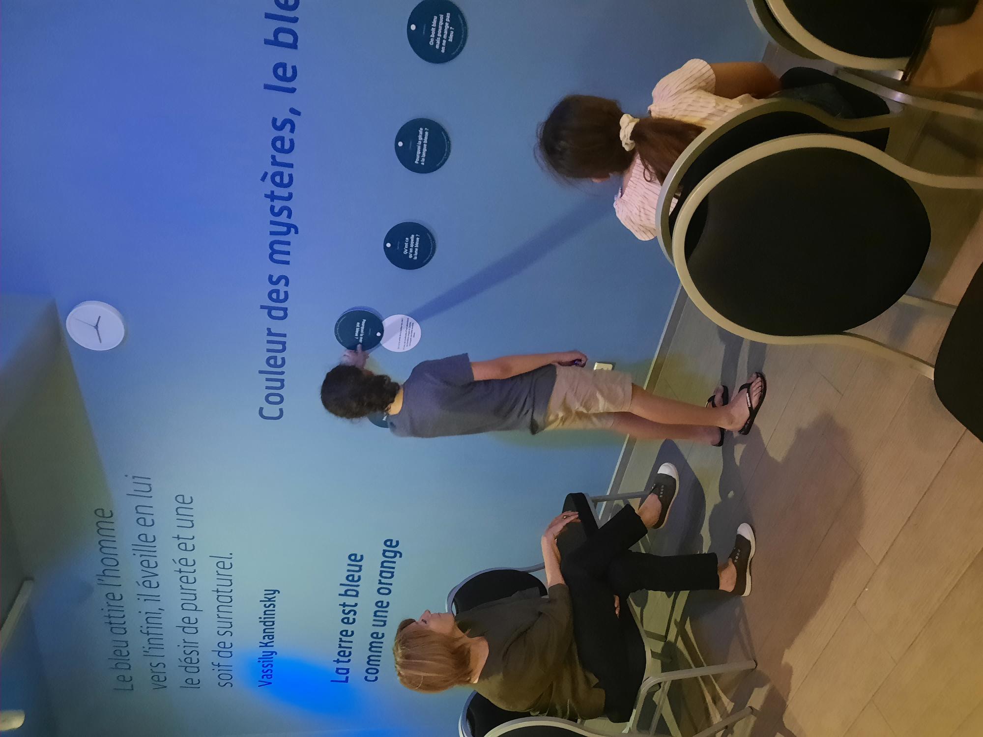 ©Muséum du Pastel à Labège (31)