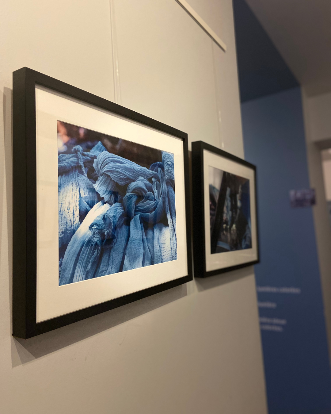 ©Muséum du Pastel à Labège (31)