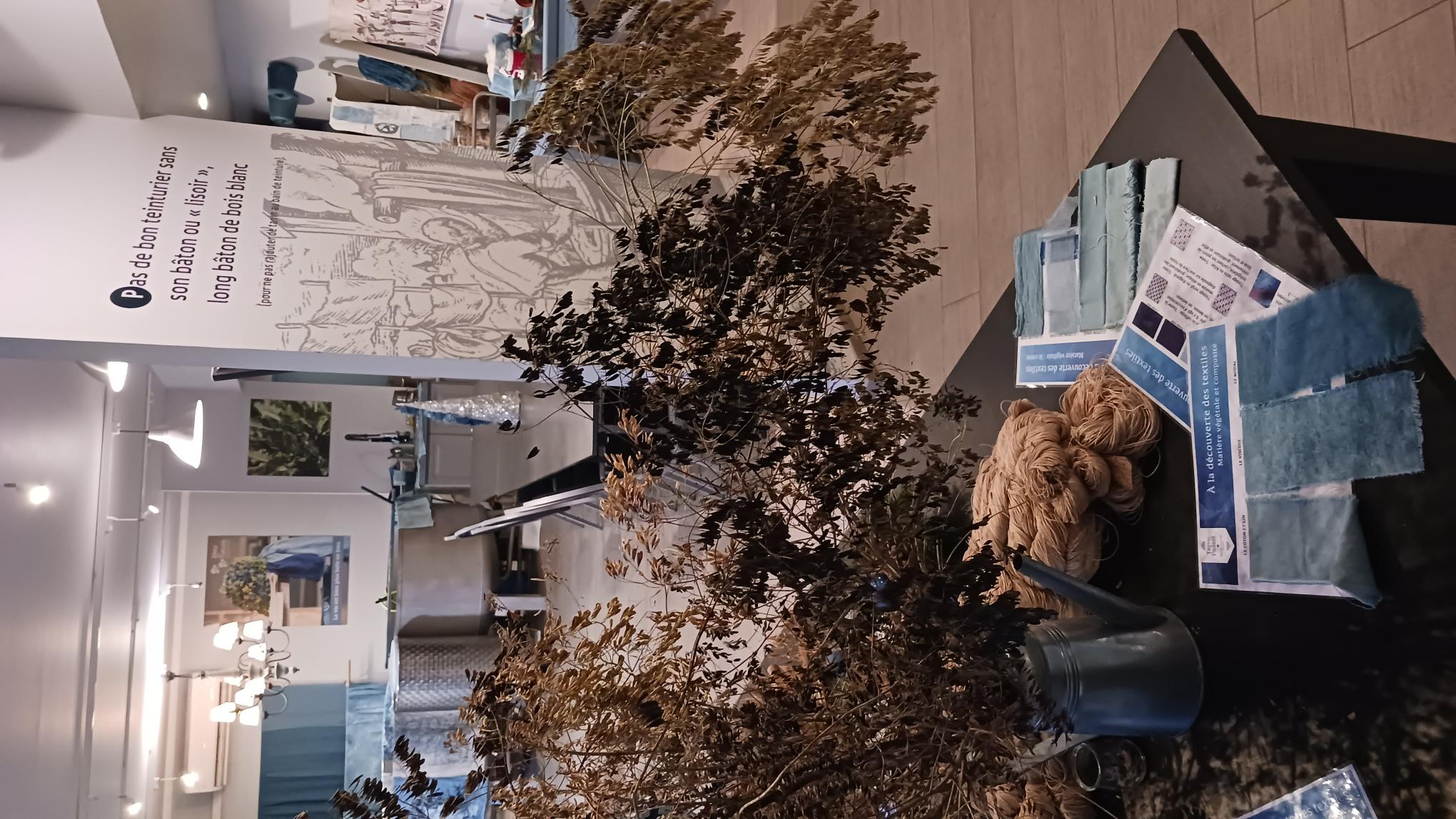 ©Muséum du Pastel à Labège (31)