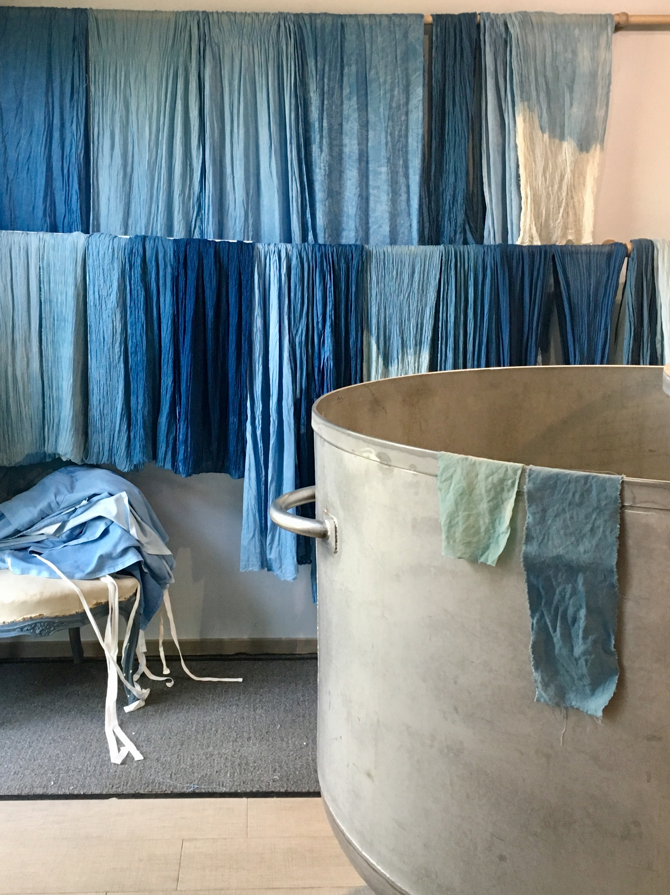 ©Muséum du Pastel à Labège (31)