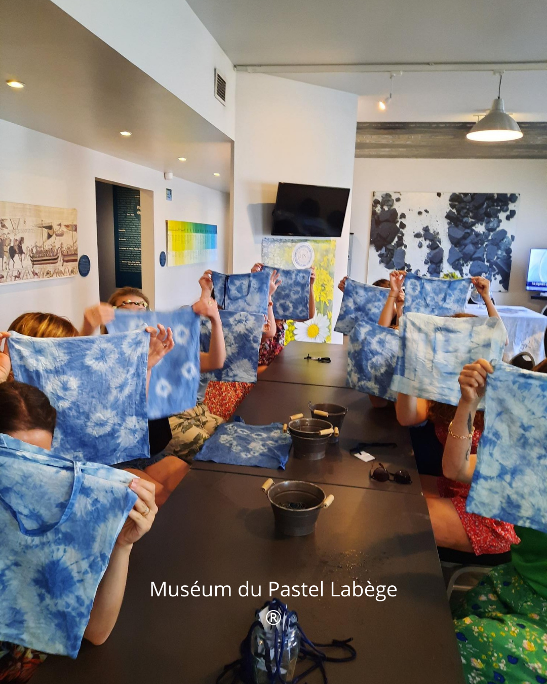 ©Muséum du Pastel à Labège (31)