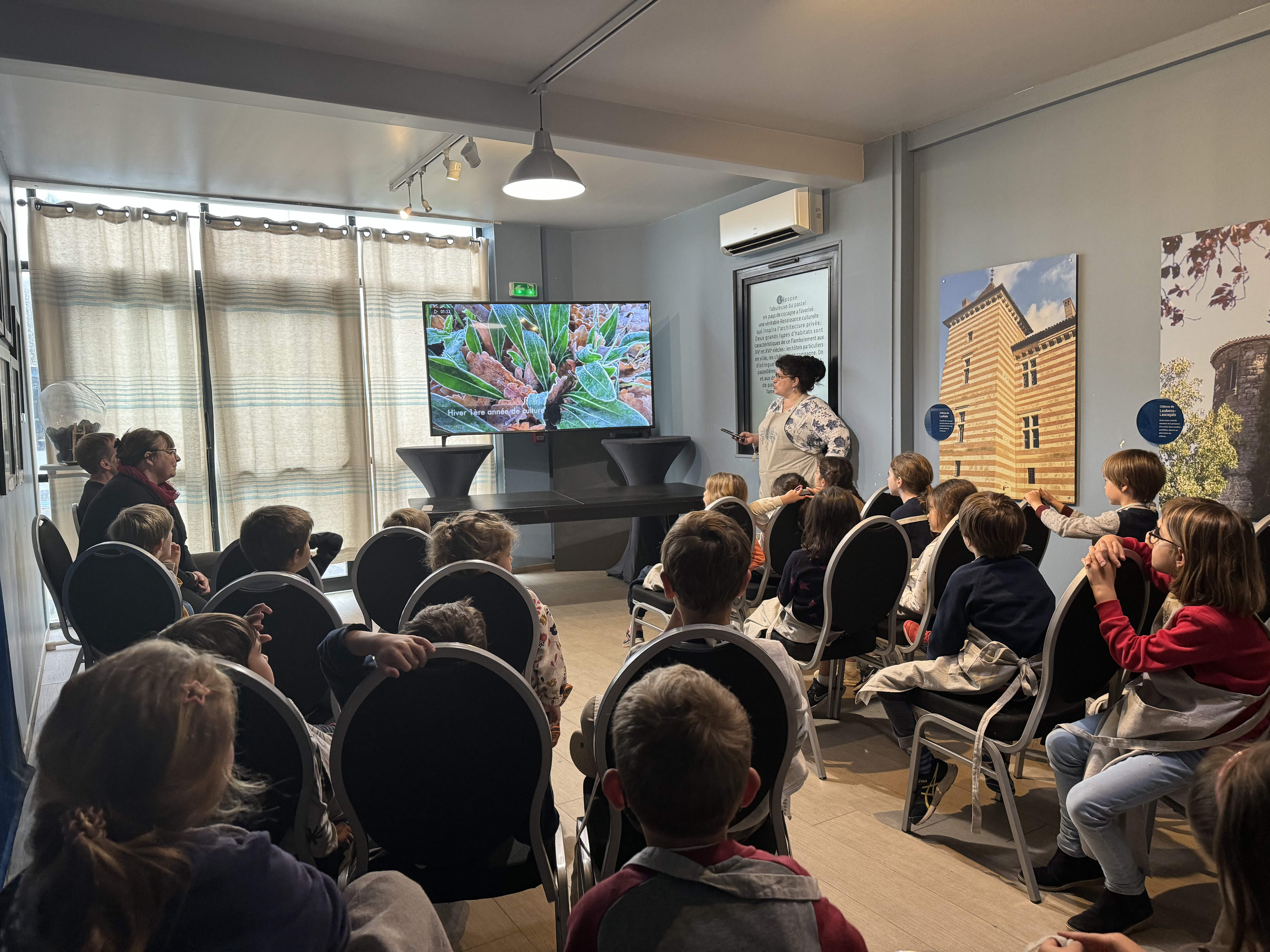 ©Muséum du Pastel à Labège (31)