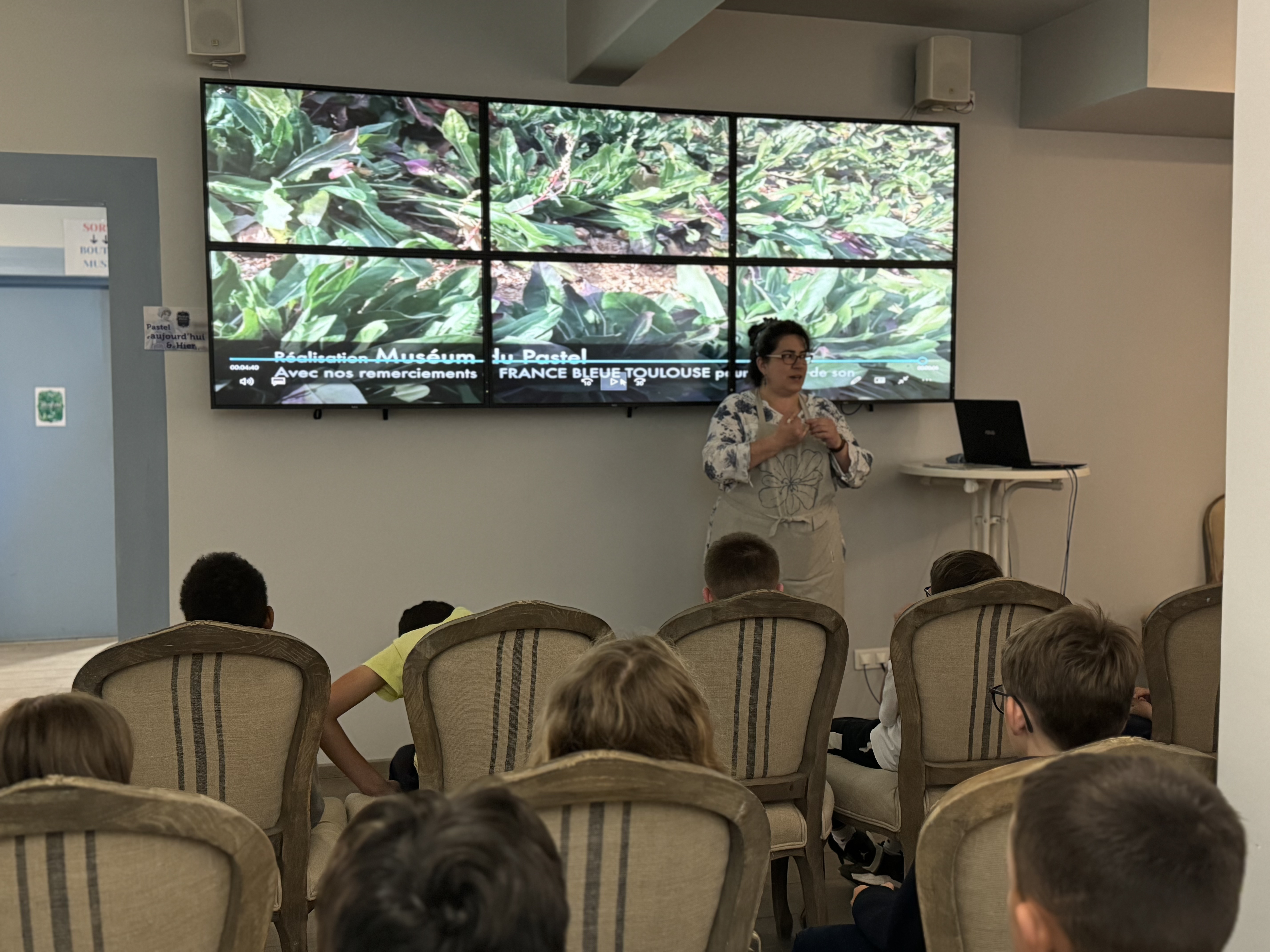 ©Muséum du Pastel à Labège (31)