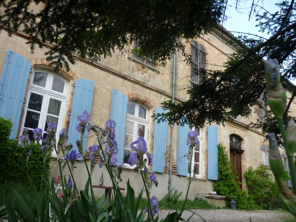 LE CHATEAU DE VALEGUE