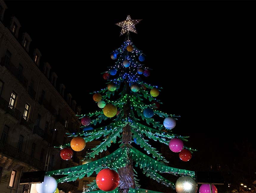 LE MANÈGE SAPIN DE NOËL Du 9/12/2024 au 11/1/2025