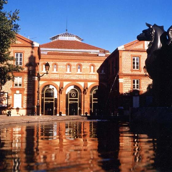 Visiter Toulouse, la Halle aux Grains