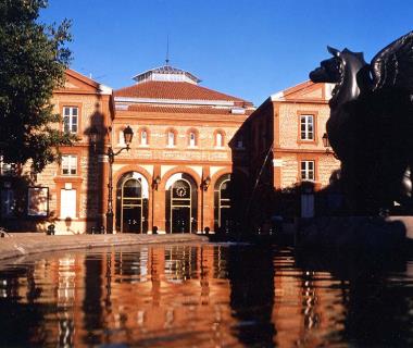 Visiter Toulouse, la Halle aux Grains