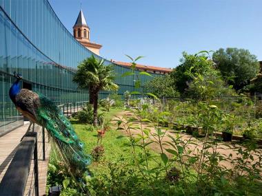 Visiter Toulouse, le Muséum