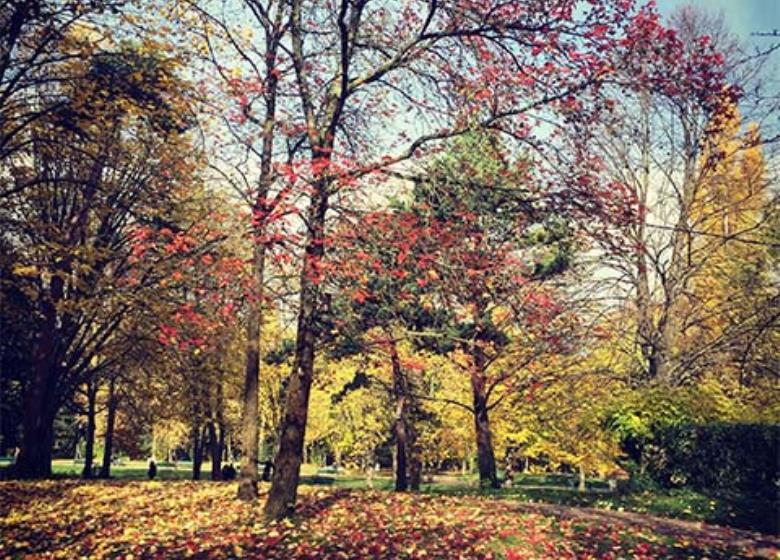 Visiter_Toulouse_jardin_Compans_Caffarelli_2