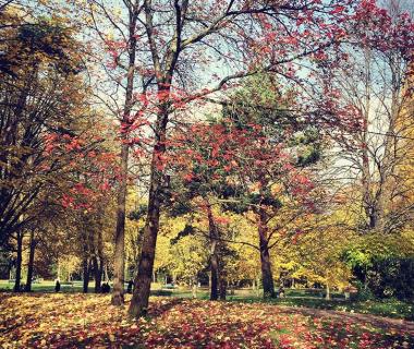 Visiter Toulouse, le jardin Compans Caffarelli