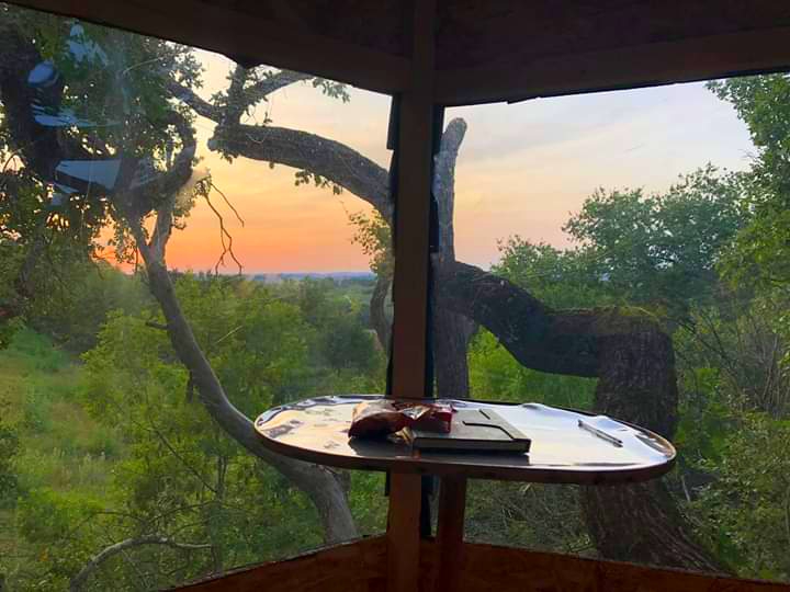 LA CABANE INSOLITE, Monès - photo 9