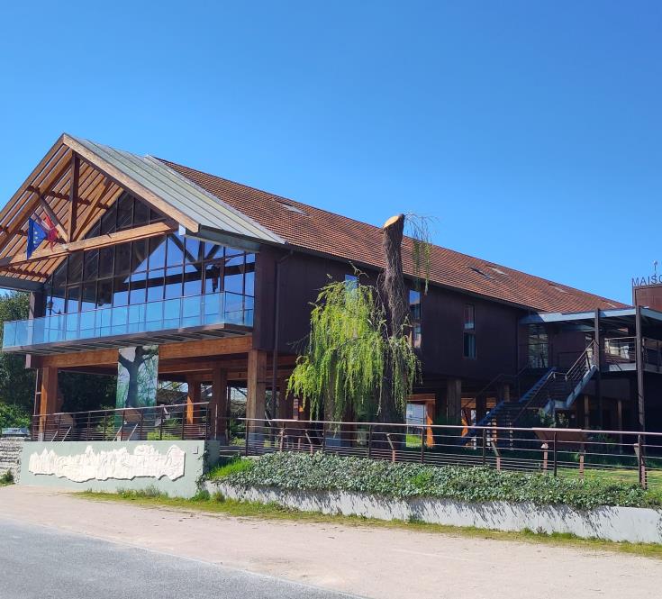 WhatsApp Image 2026-03-20 at 12.42.17