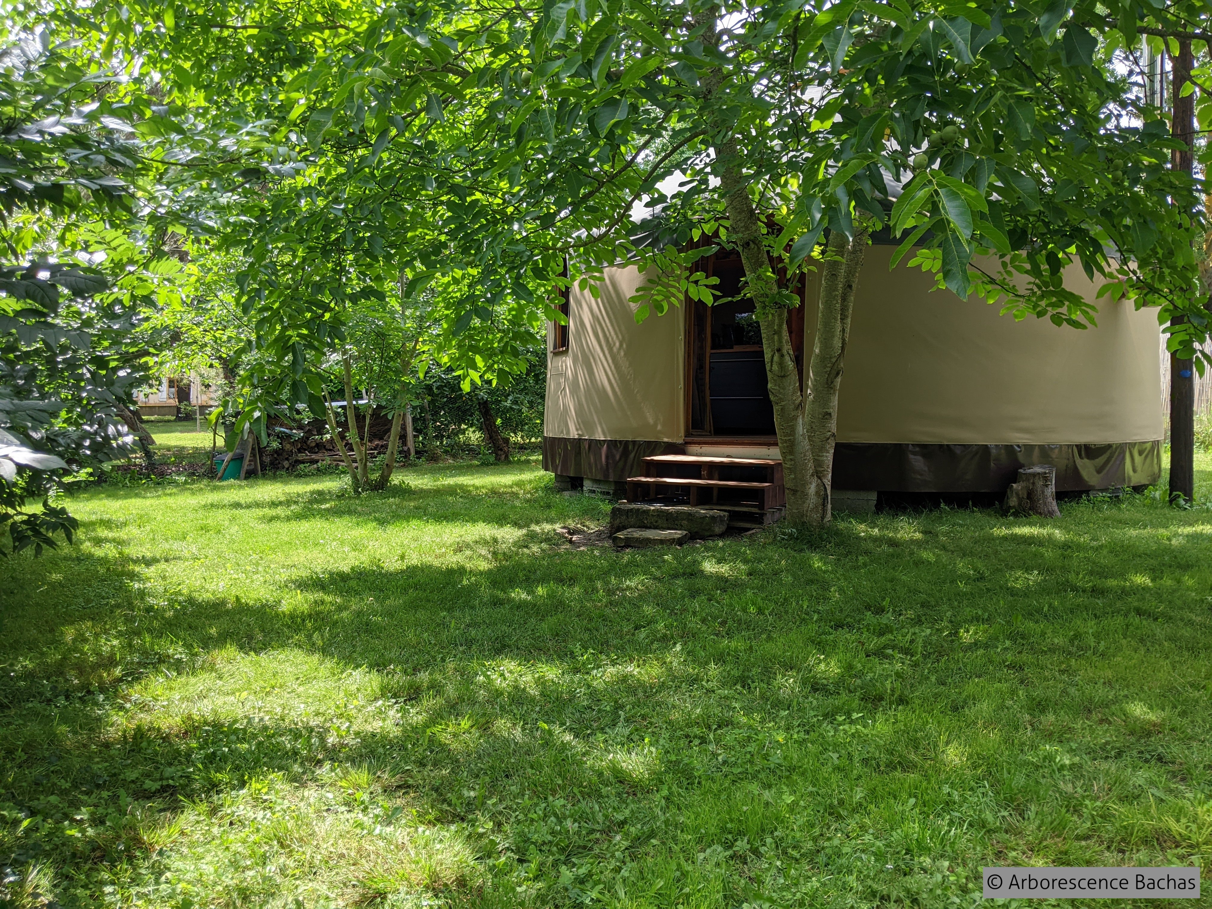 ARBORESCENCE BACHAS, Bachas - photo 3