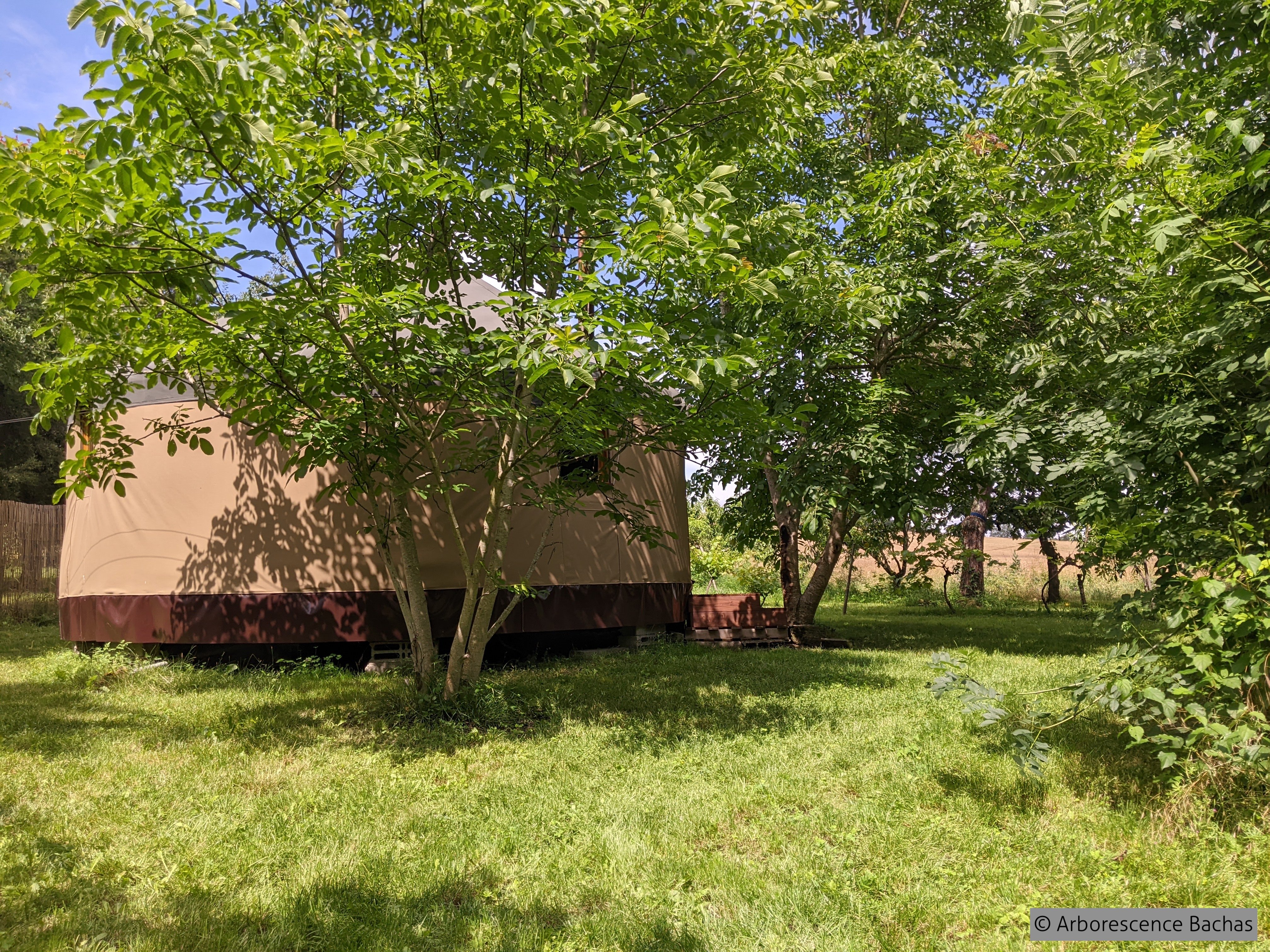 ARBORESCENCE BACHAS, Bachas - photo 10