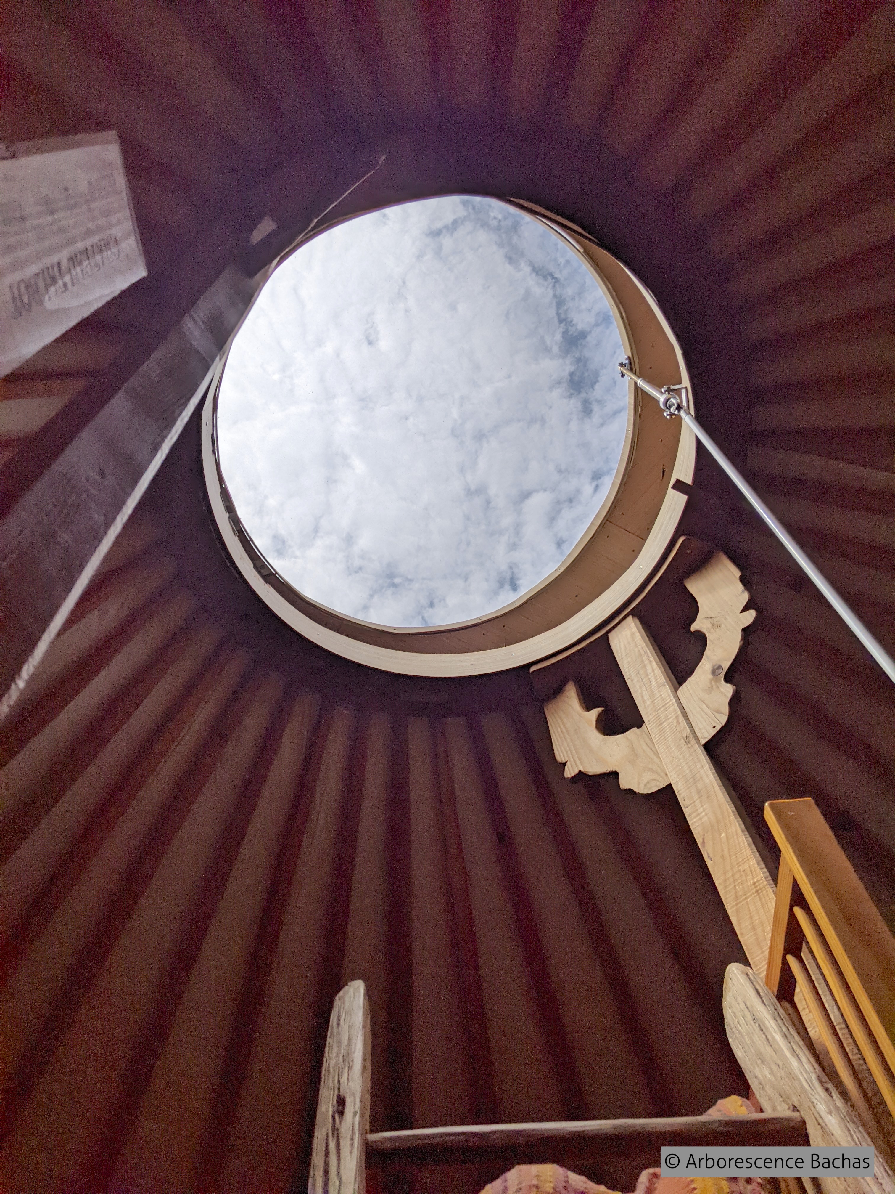 ARBORESCENCE BACHAS, Bachas - photo 5