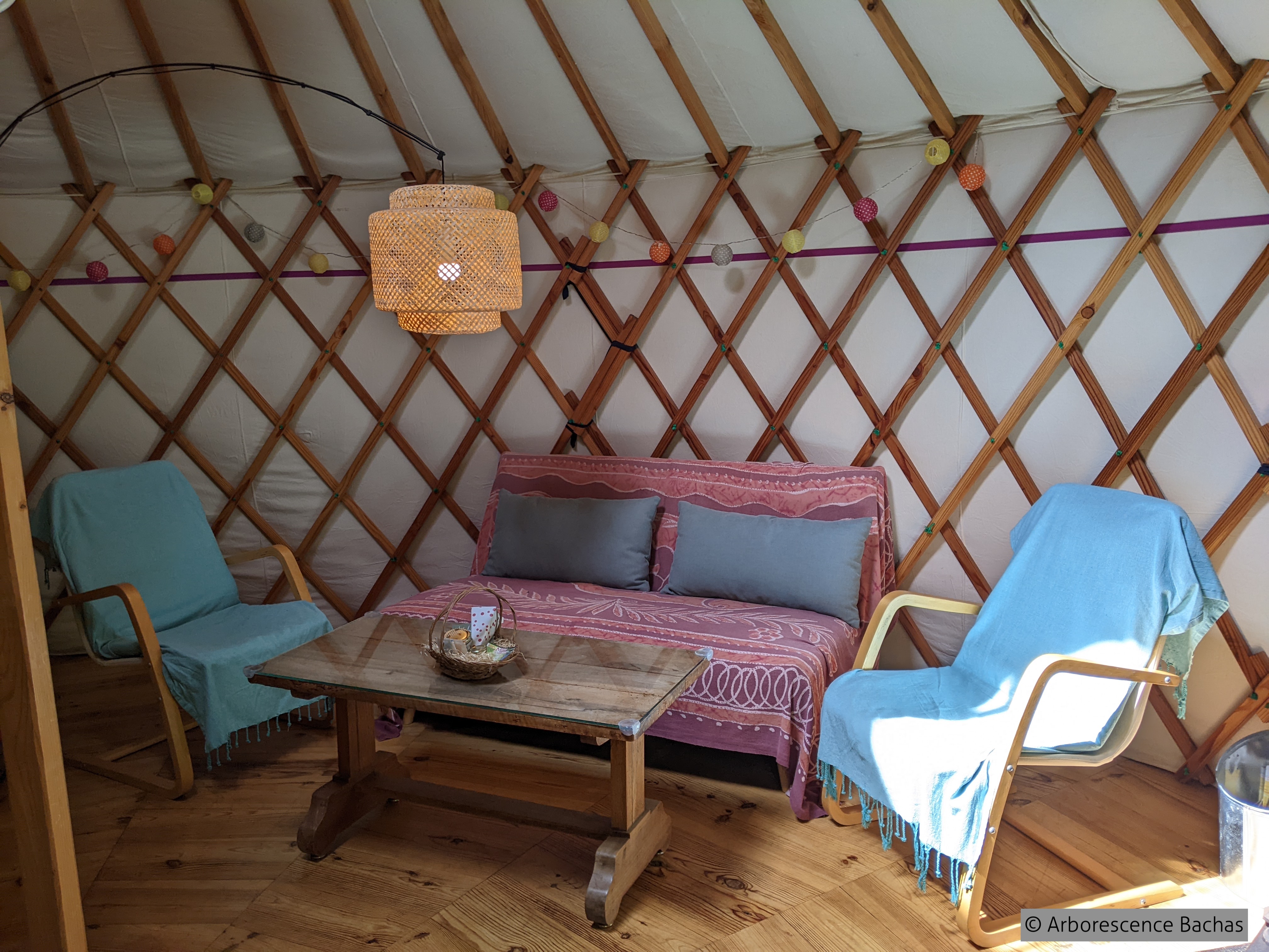 ARBORESCENCE BACHAS, Bachas - photo 6