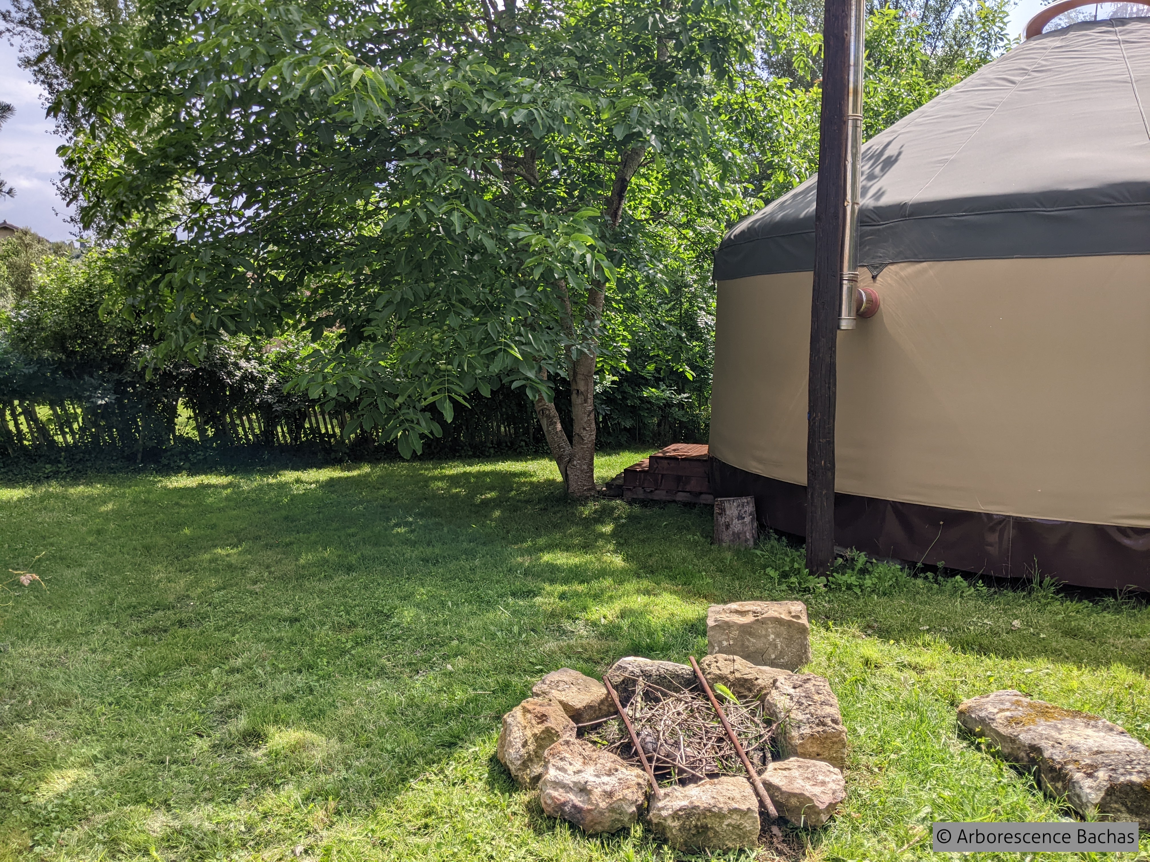 ARBORESCENCE BACHAS, Bachas - photo 8