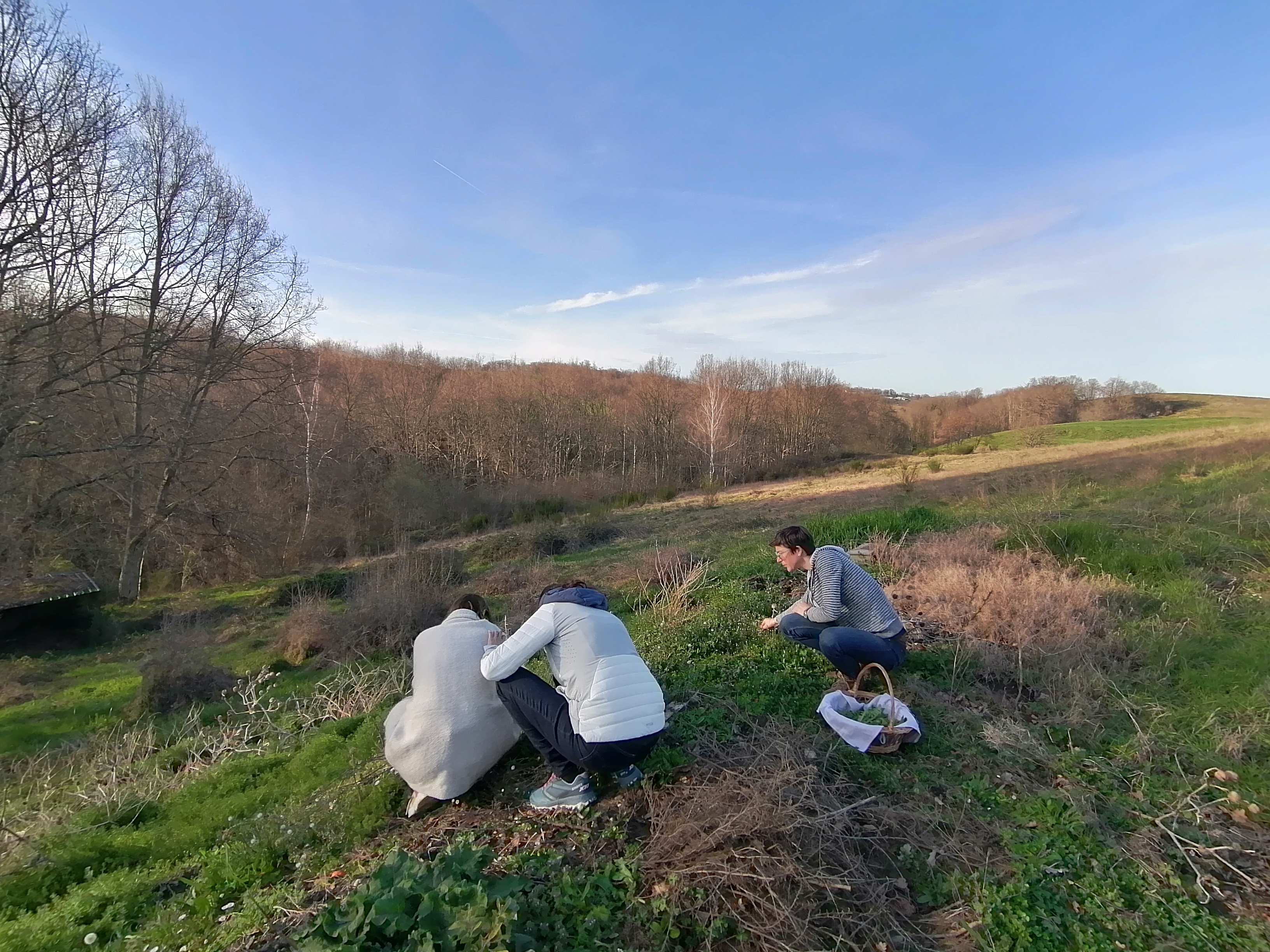 DU GITE A LA TERRE, Saint-Gaudens - photo 2