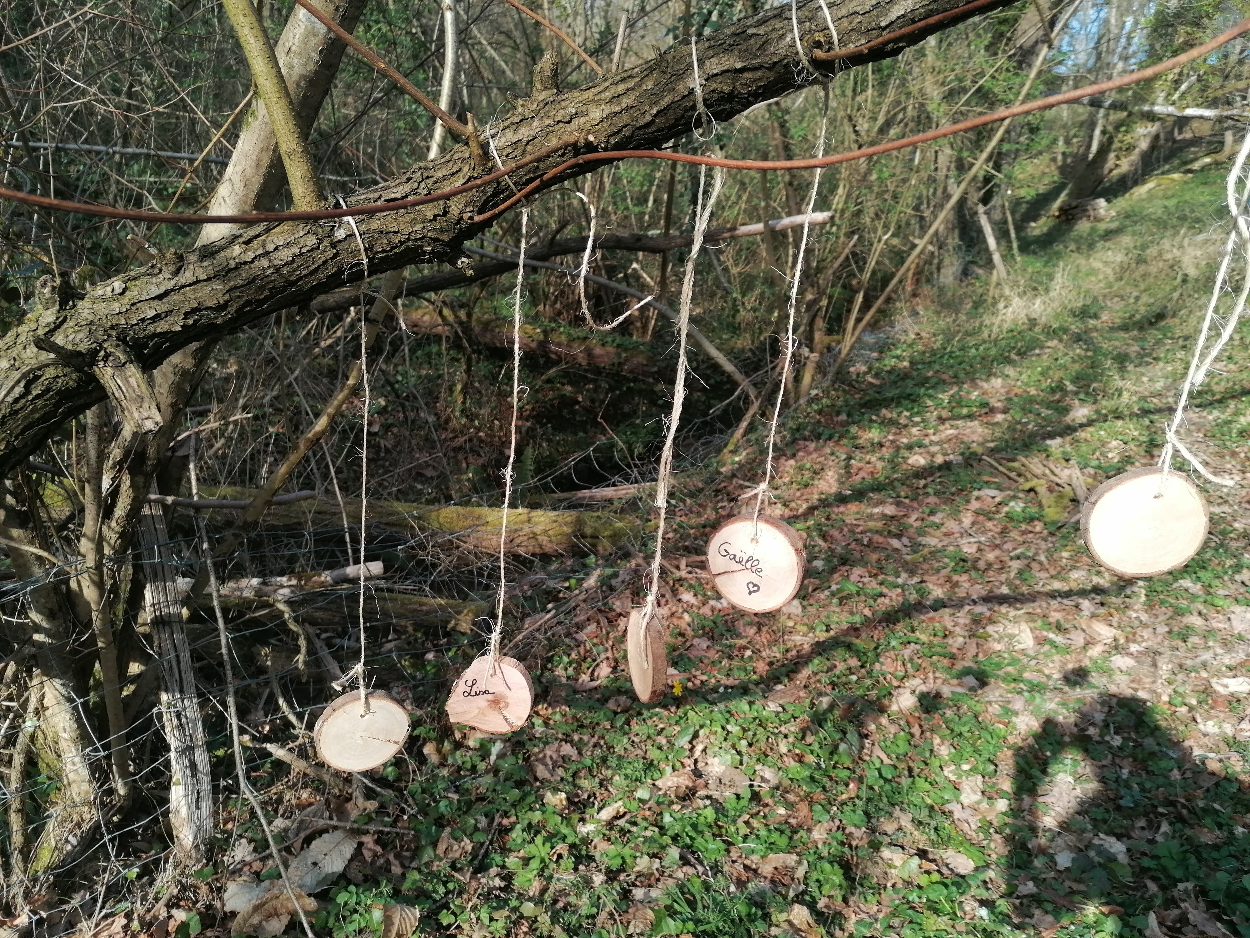DU GITE A LA TERRE, Saint-Gaudens - photo 8