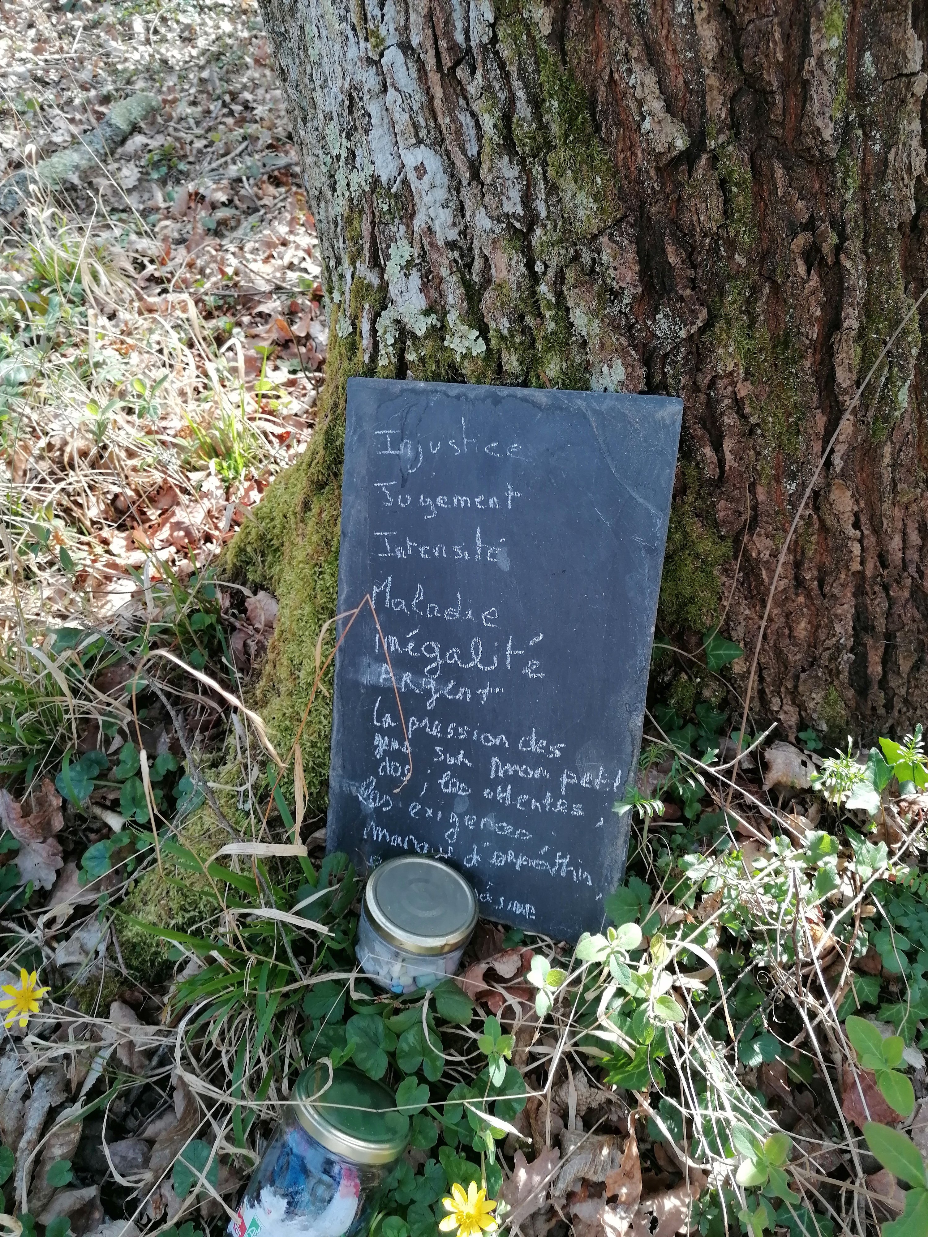 DU GITE A LA TERRE, Saint-Gaudens - photo 10