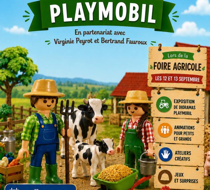 affiche playmobil